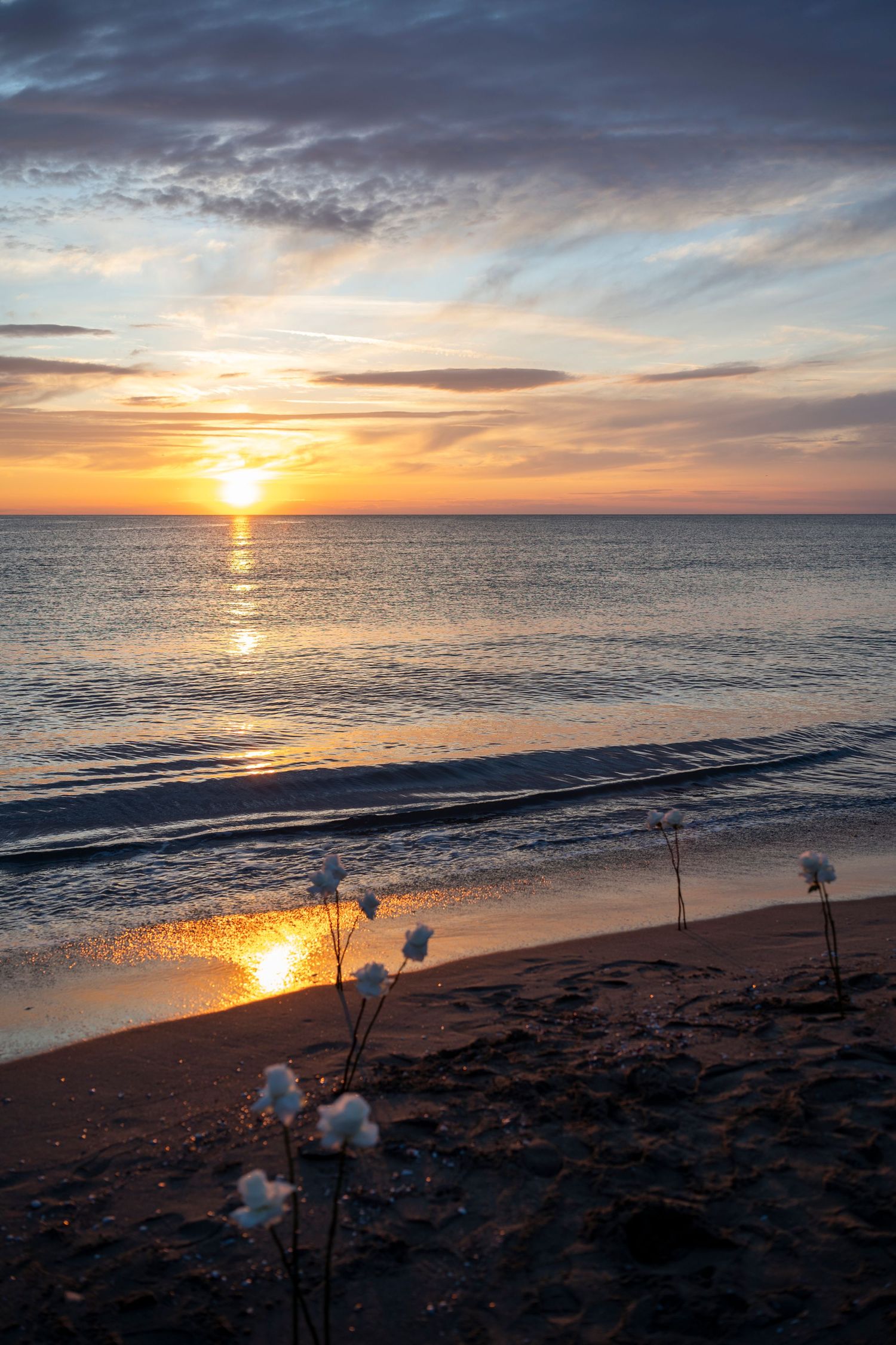 Stunning beach sunset creates golden reflections on the ocean as the sky transforms with vibrant colors.
