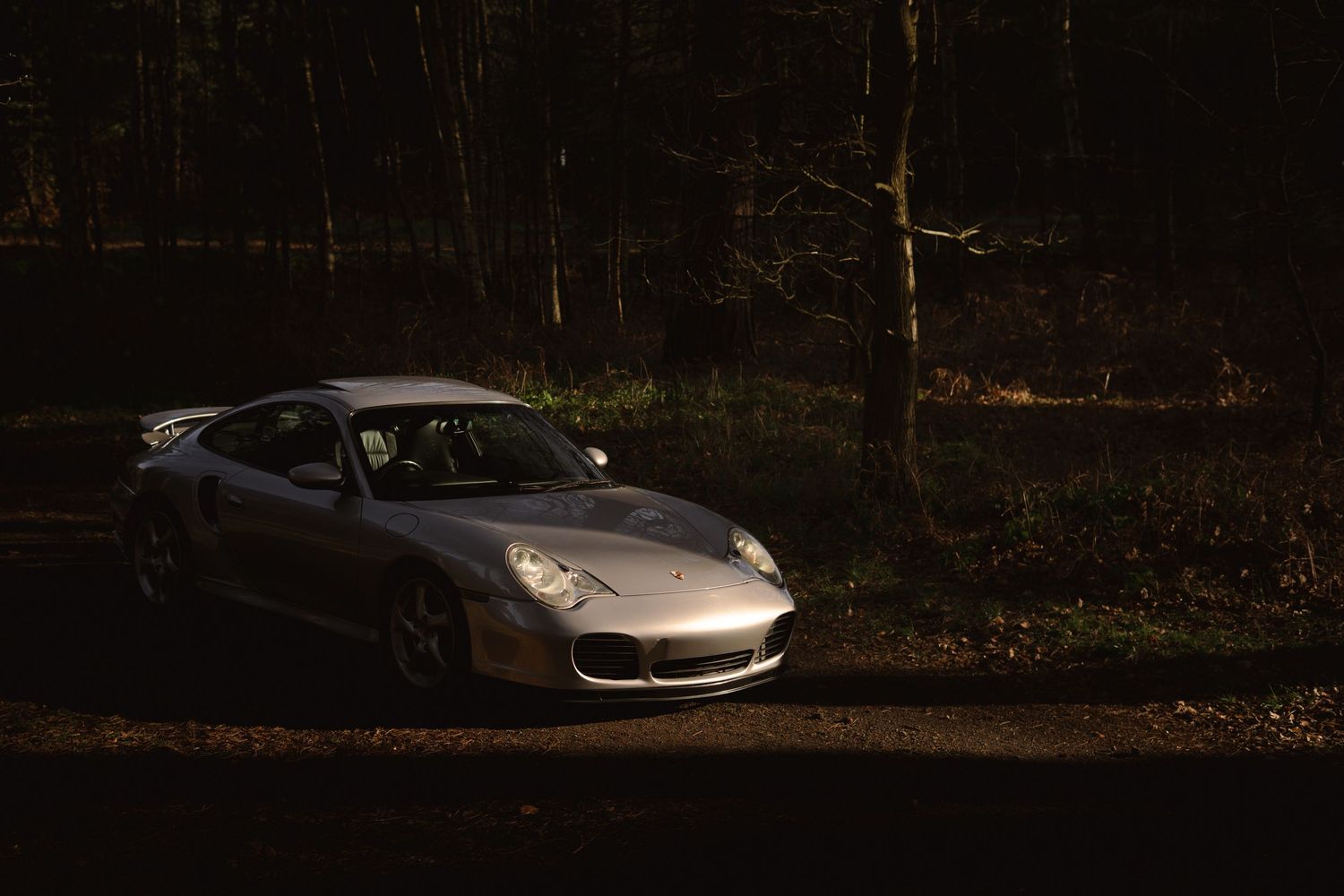 Silver Porsche 911 Turbo parked in a shadowy forest with dramatic dappled sunlight.