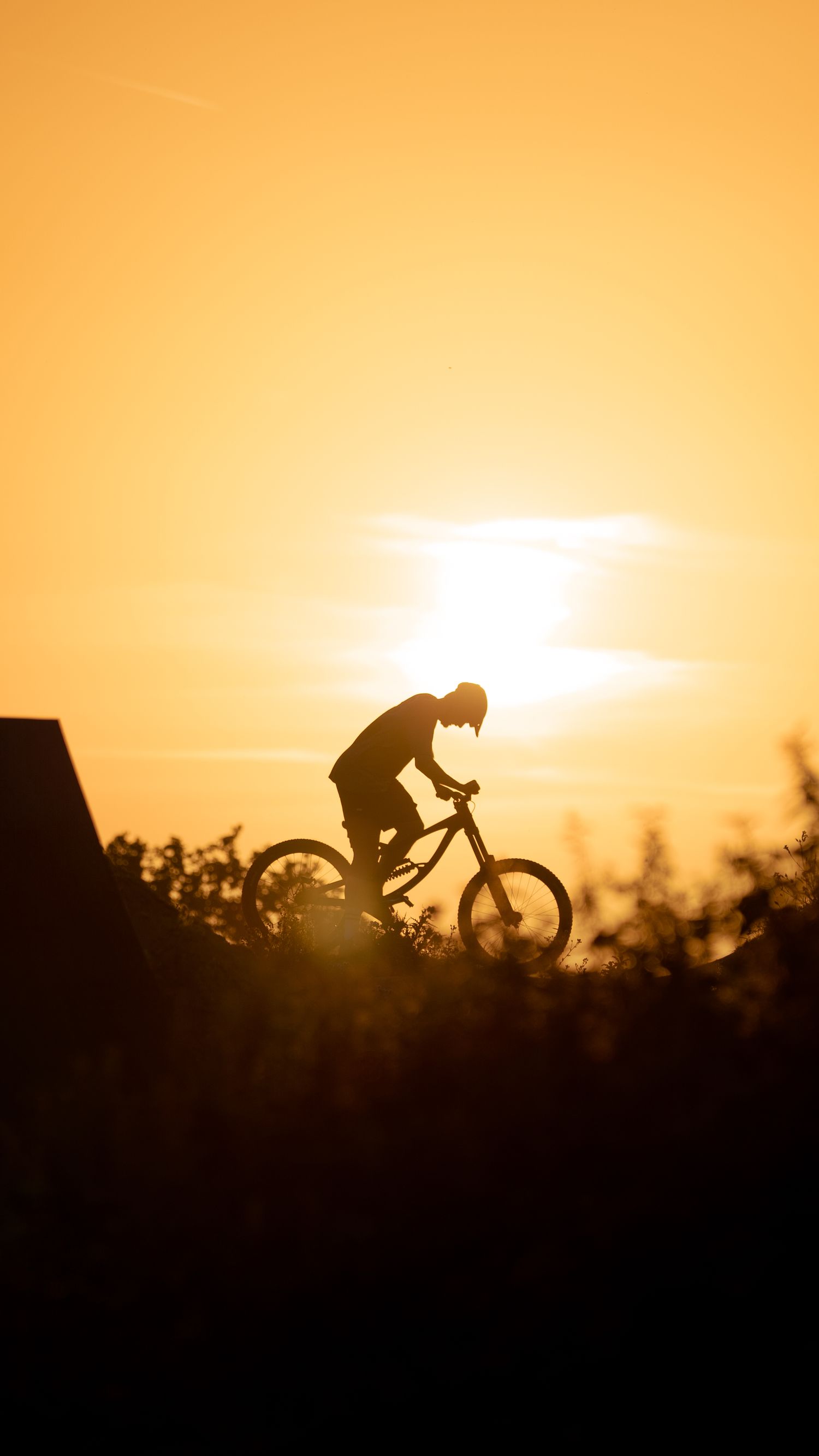 Silhouette of a cyclist performing a trick on a mountain bike against a vibrant golden sunset sky.