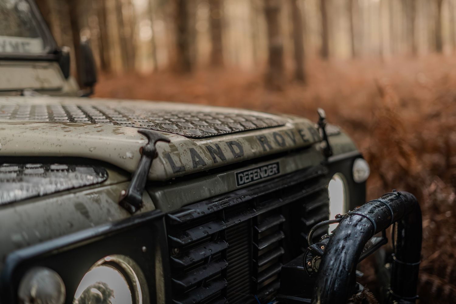 Detailed close-up of a weathered Land Rover Defender badge in autumn woodland.