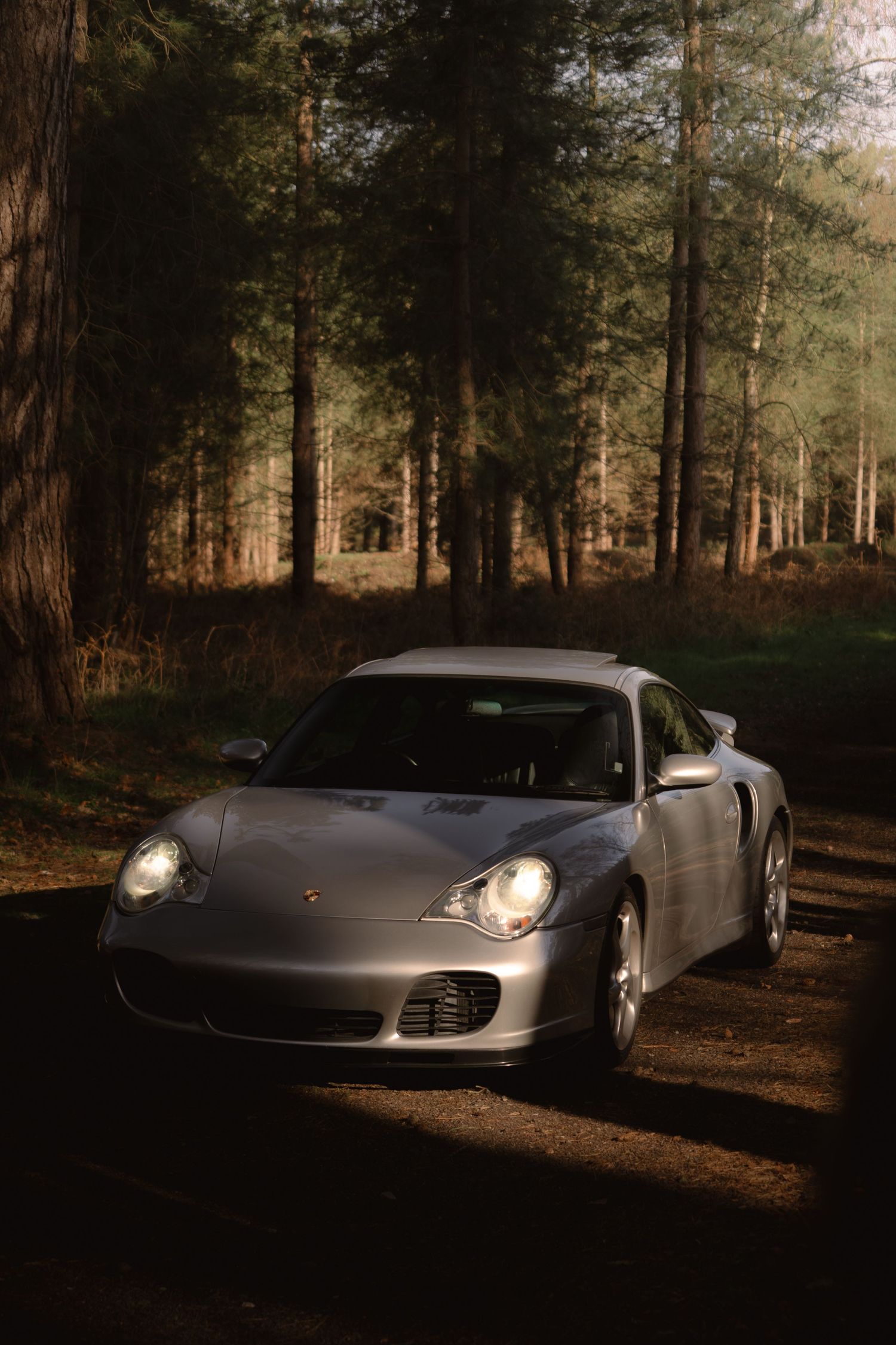 Silver Porsche 911 Turbo with headlights on parked on a forest trail in warm autumn light.