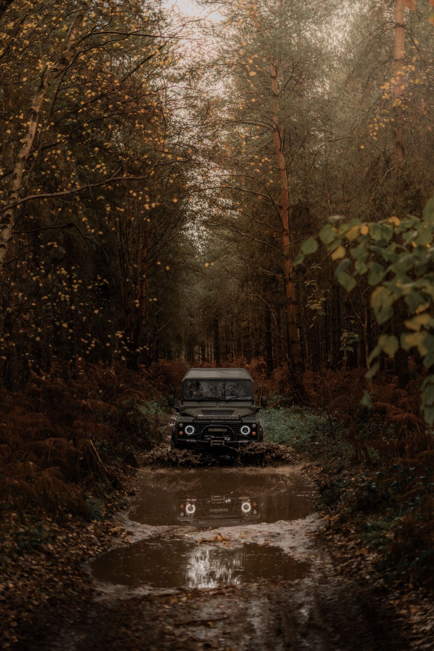 Dark Land Rover Defender with halo headlights navigating a deep muddy puddle on a narrow autumn forest track.