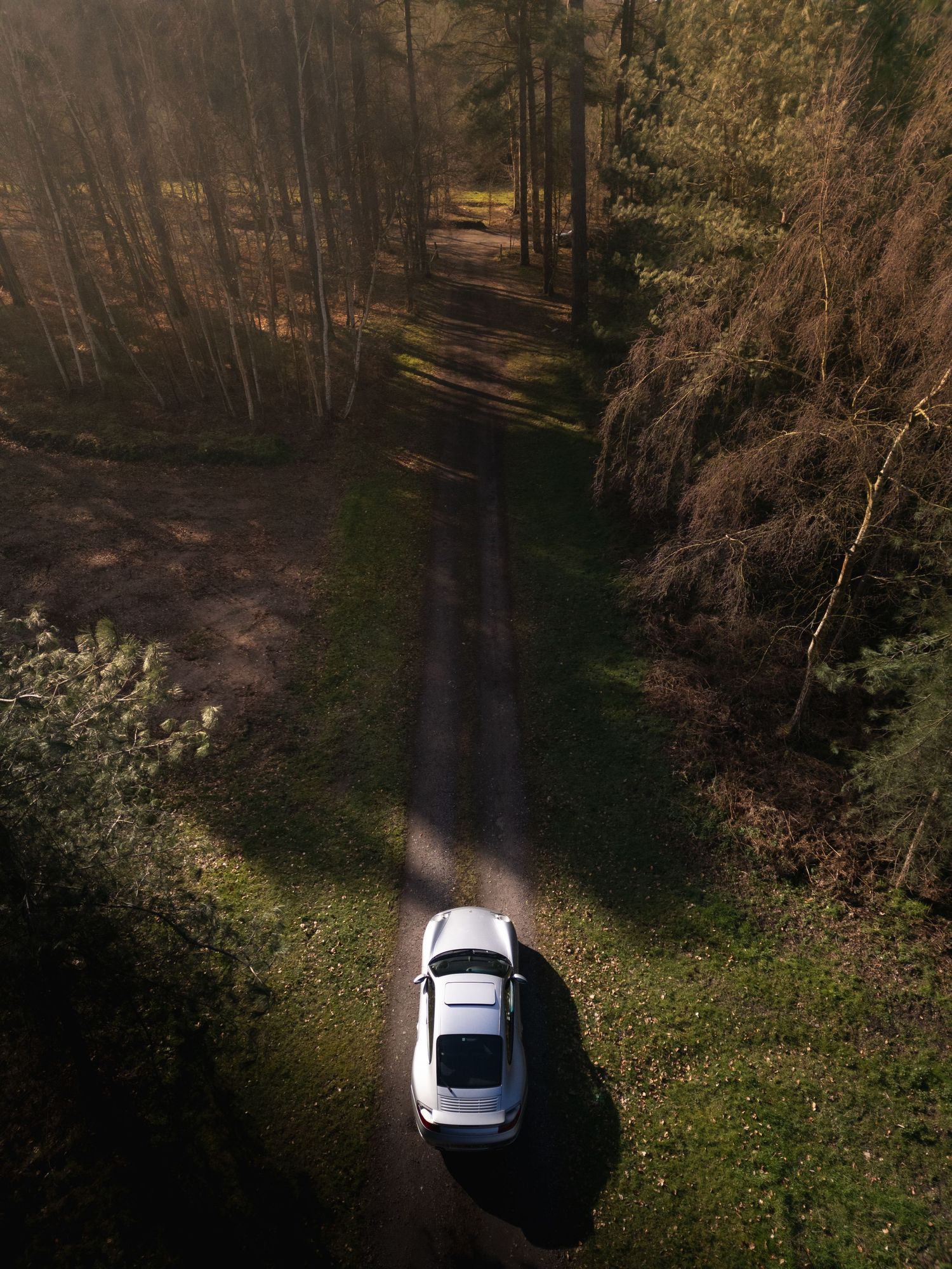 Overhead drone photo of a white Porsche 911 on a sunlit forest path with long shadows cast by tall trees.