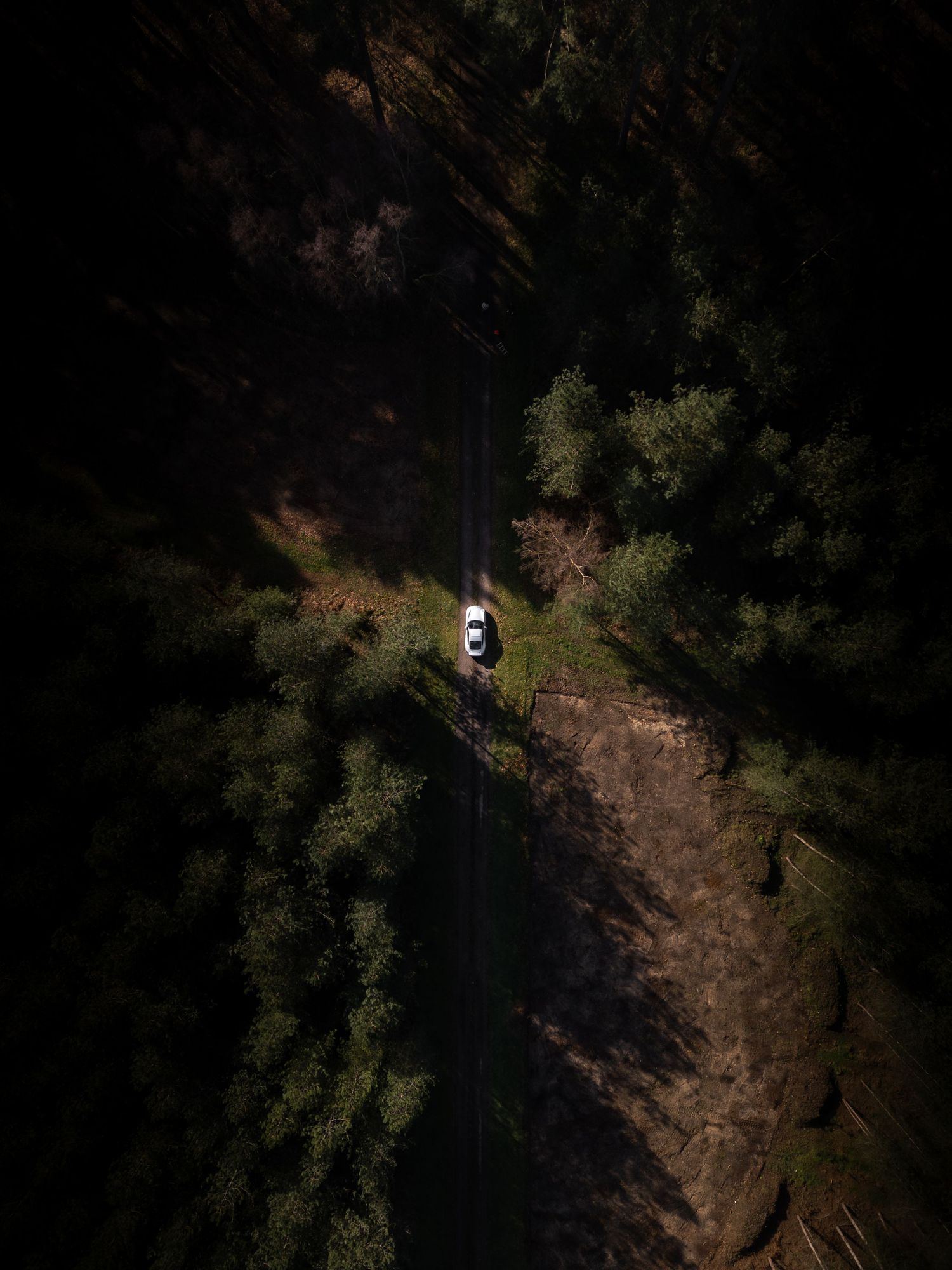 Aerial top-down view of white car driving along narrow road through dense dark green forest.