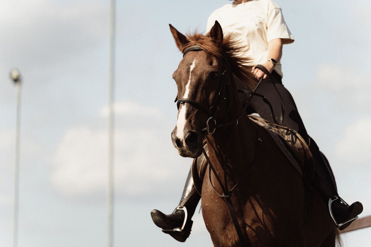 A rider in a white shirt gallops on a dark brown horse against a cloudy sky backdrop.