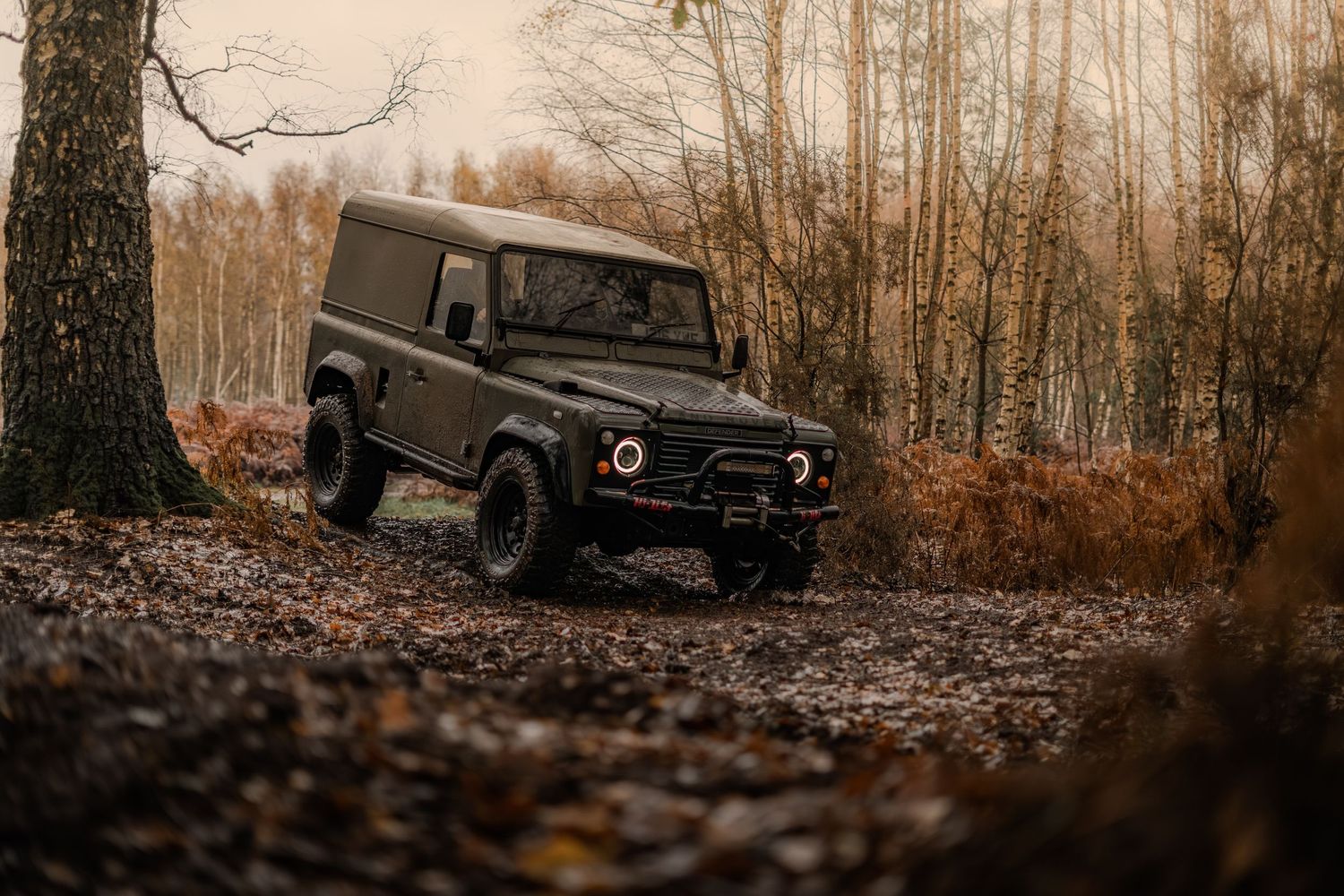 Modified dark green Land Rover Defender 90 parked on a leaf-covered forest floor among bare autumn trees.