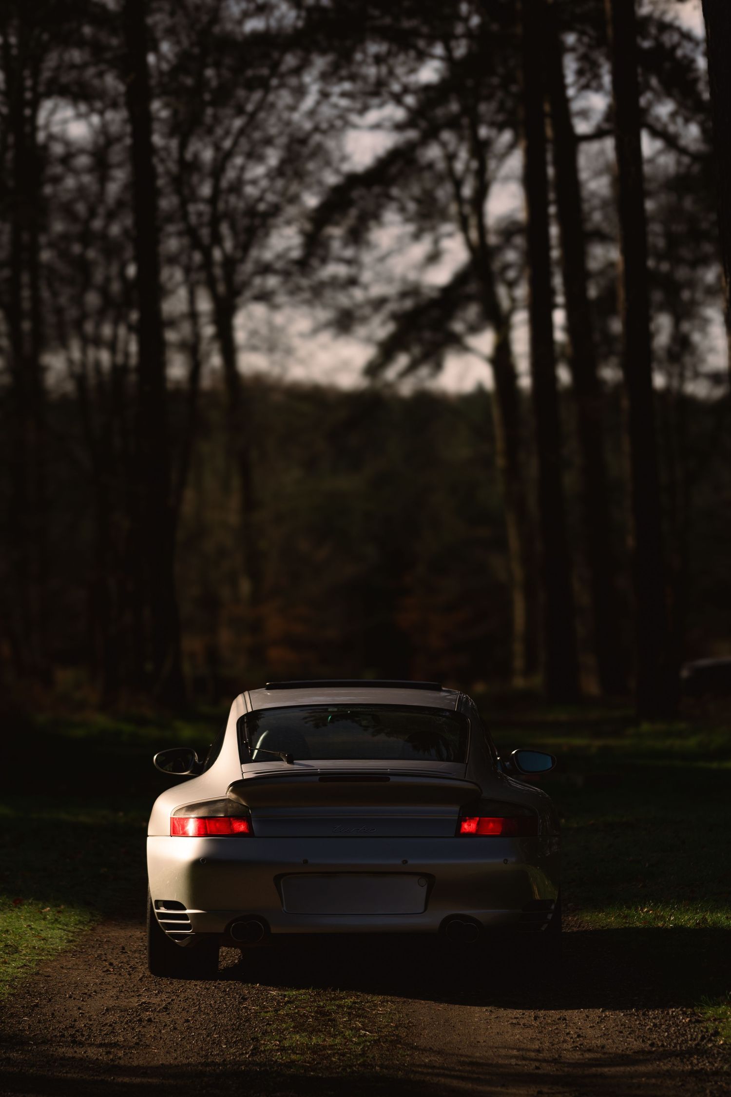 Rear view of a silver Porsche 911 Turbo parked on a dark forest dirt track at dusk.