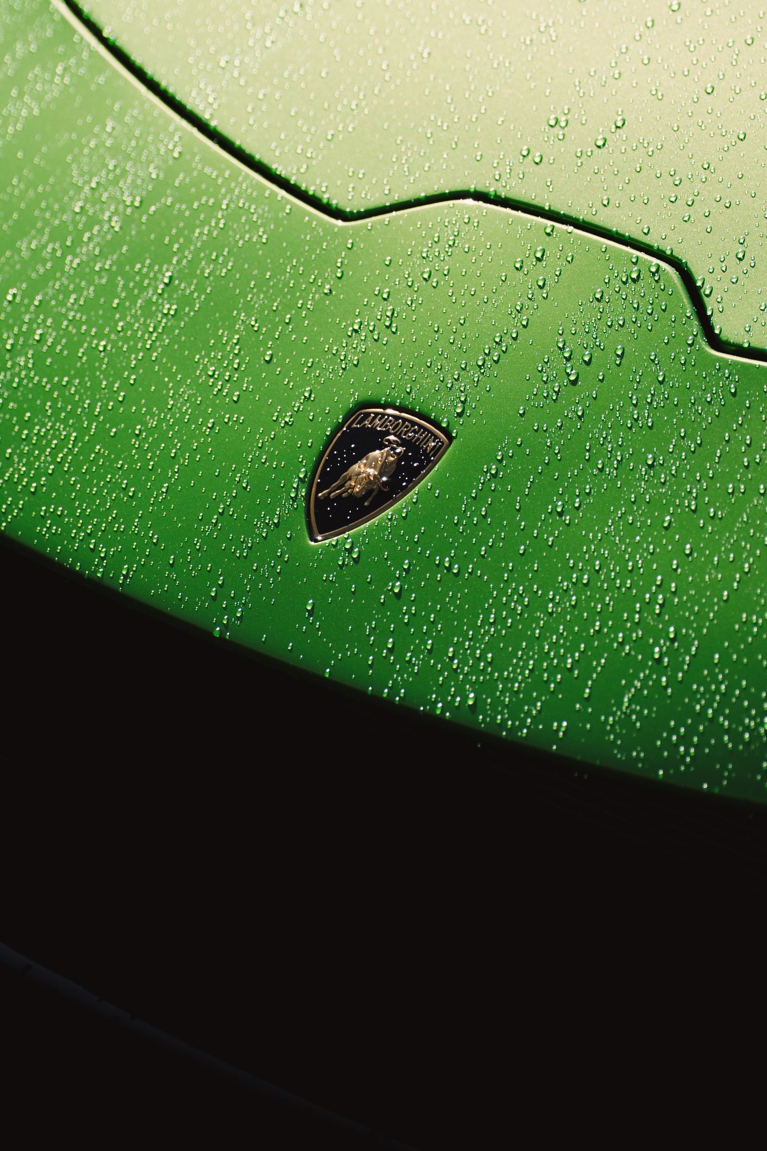 Close-up of a green Lamborghini hood covered in rain droplets, featuring the iconic bull logo emblem.