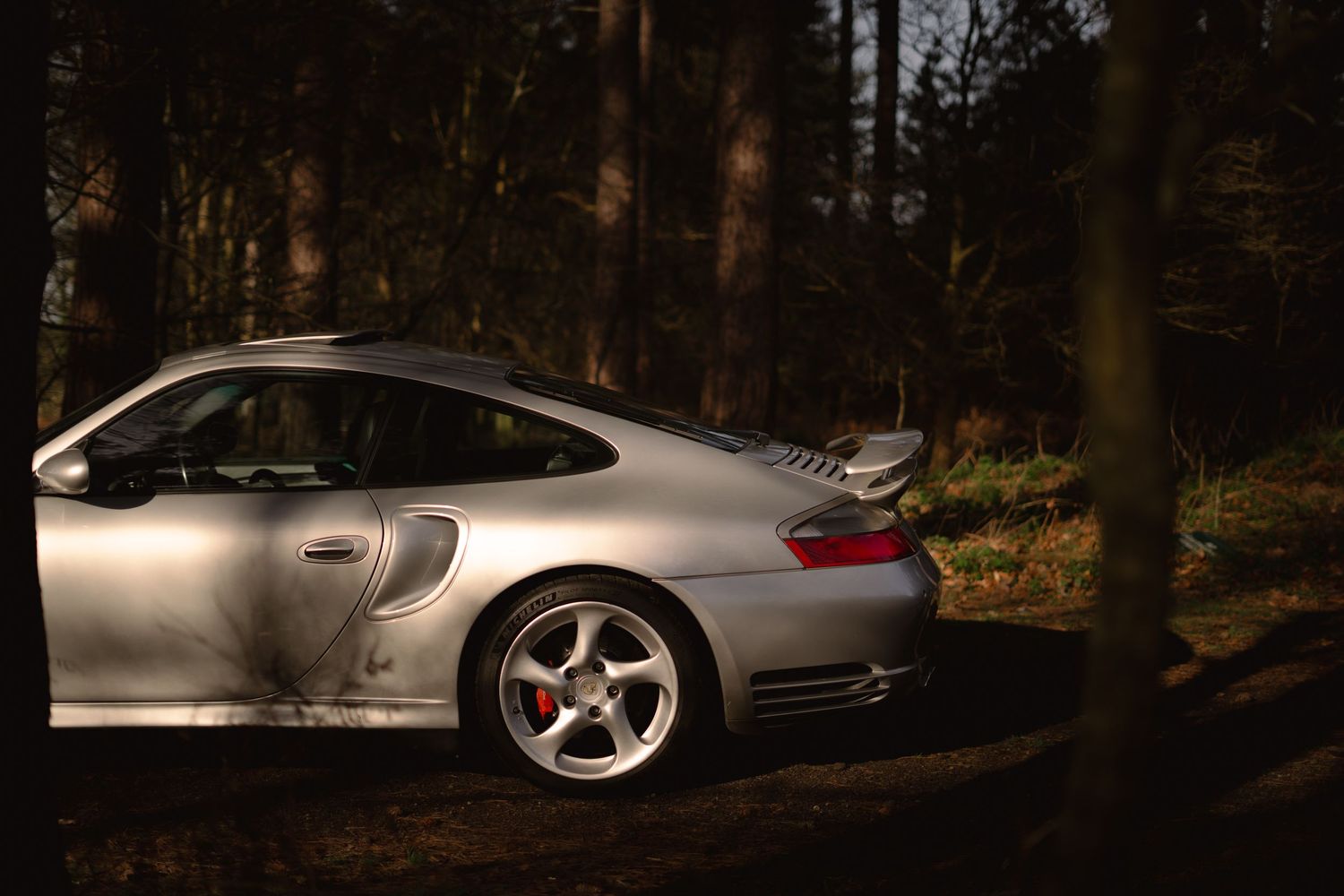 Silver Porsche 911 Turbo side profile parked in a sunlit forest with visible rear spoiler.