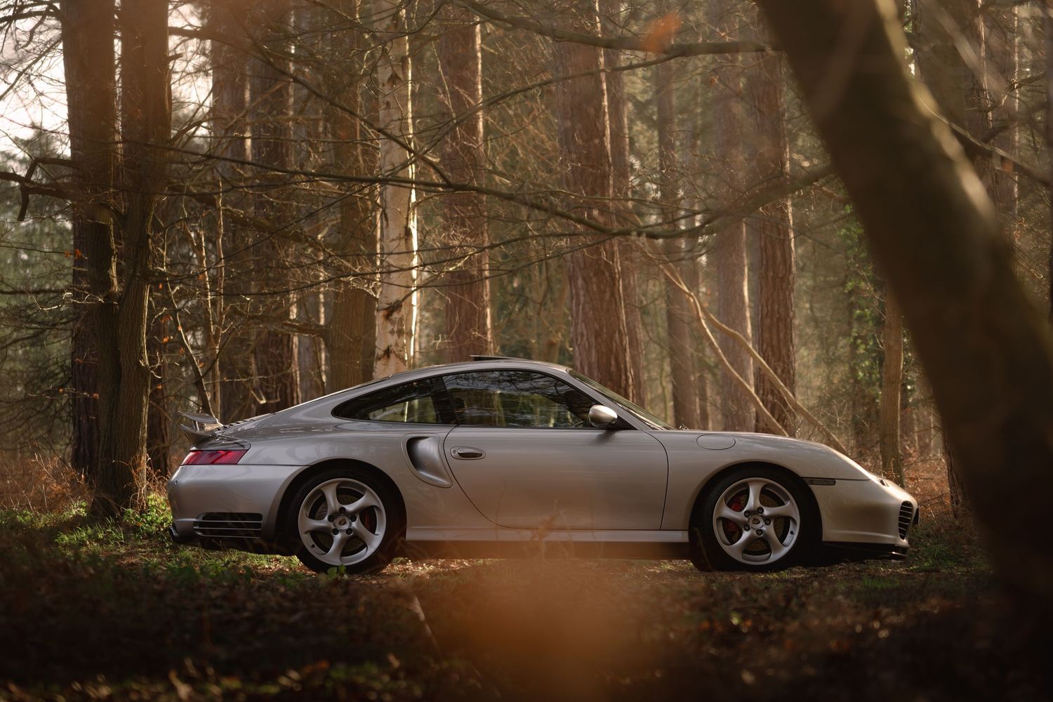 Silver Porsche 911 Turbo side profile parked among tall trees in an atmospheric autumn forest.