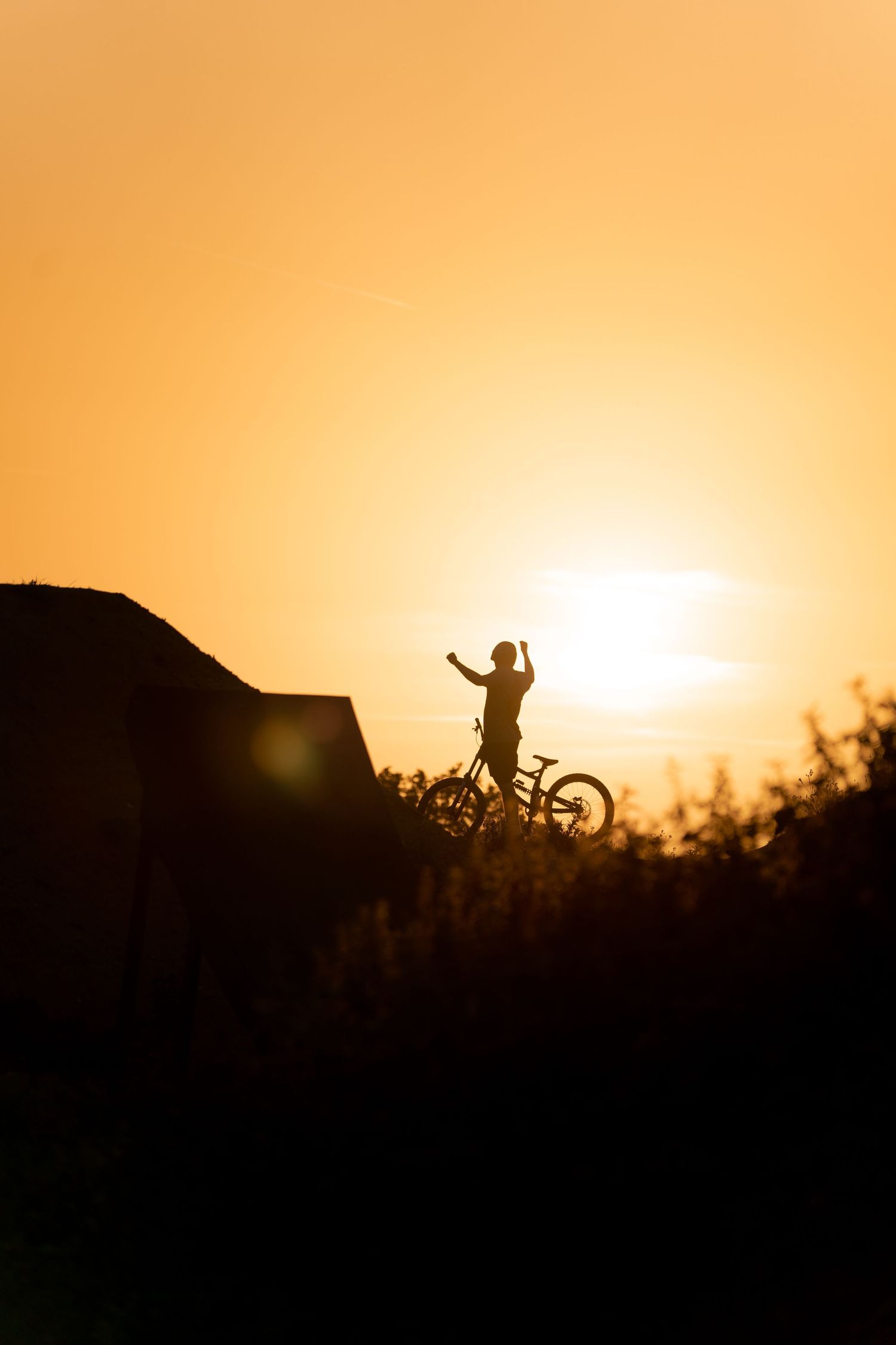 Silhouette of a child with a bicycle raising one arm triumphantly against a golden sunset sky.