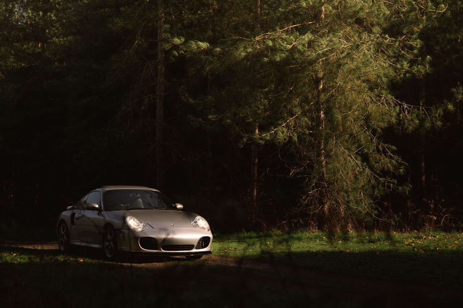 Silver Porsche 911 Turbo parked in a dark forest with dramatic lighting.