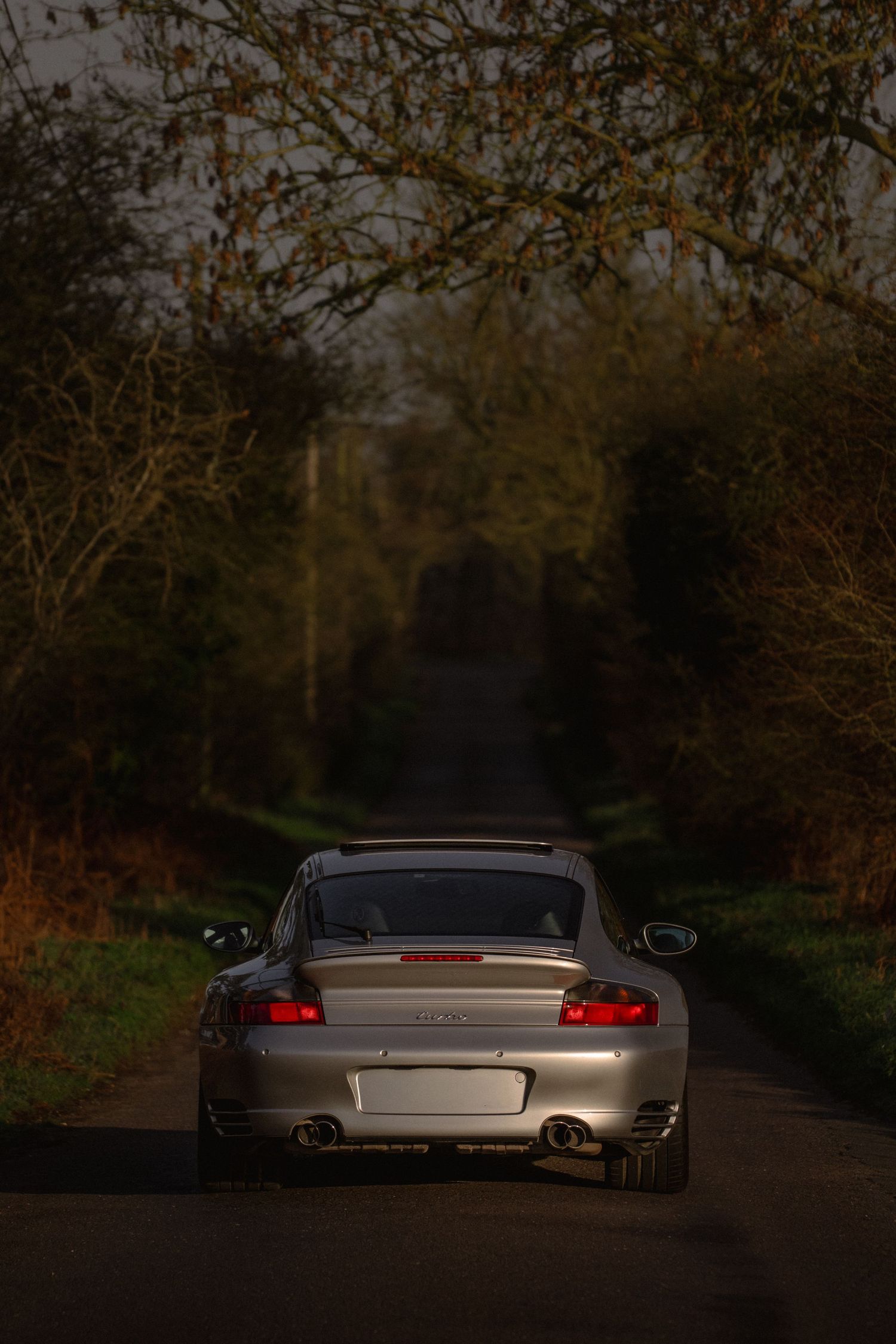 Rear view of silver Porsche 911 Turbo on a tree-lined country road.