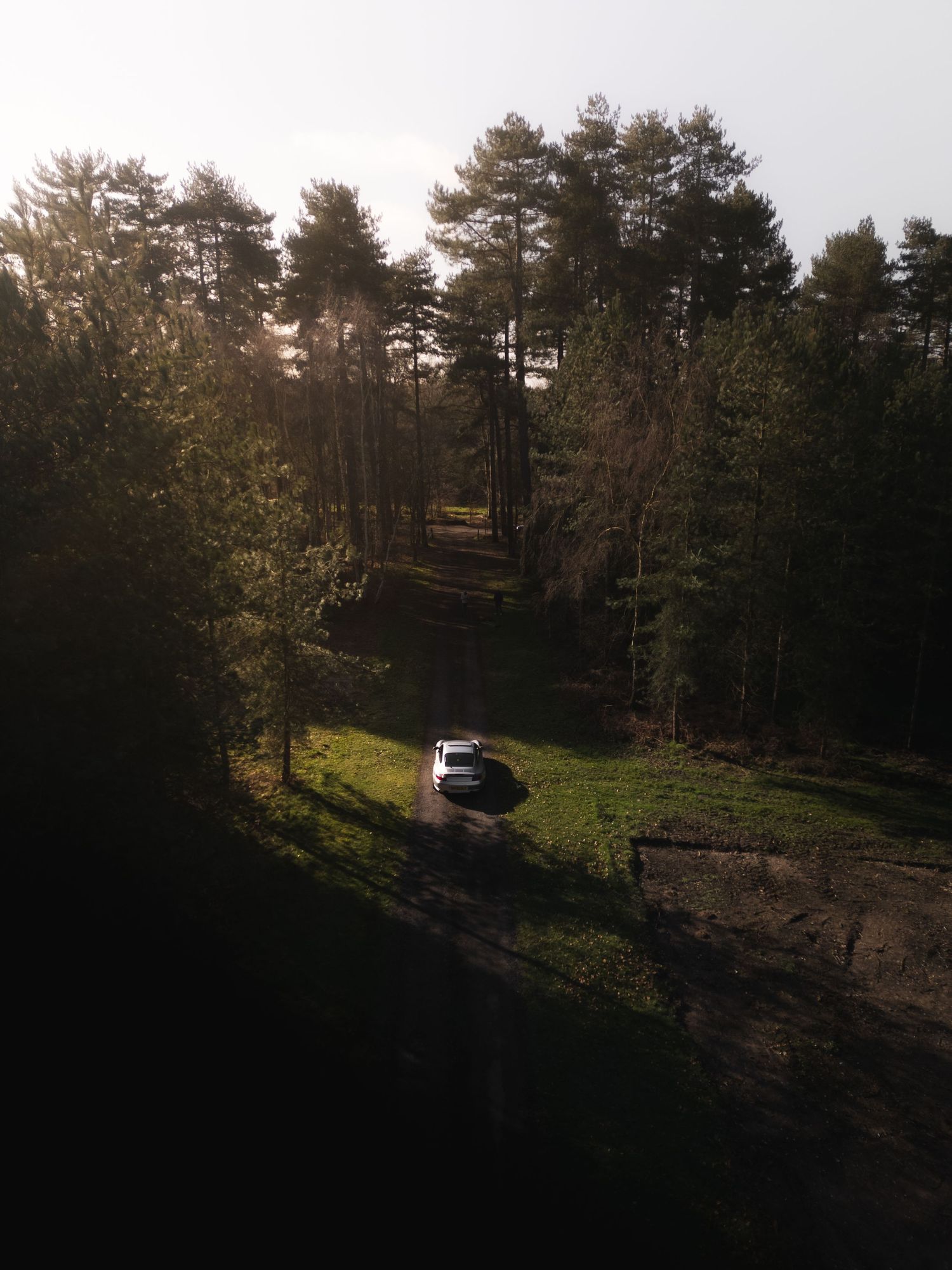 Aerial view of a silver Porsche 911 parked on a forest path surrounded by tall pine trees in golden hour light.