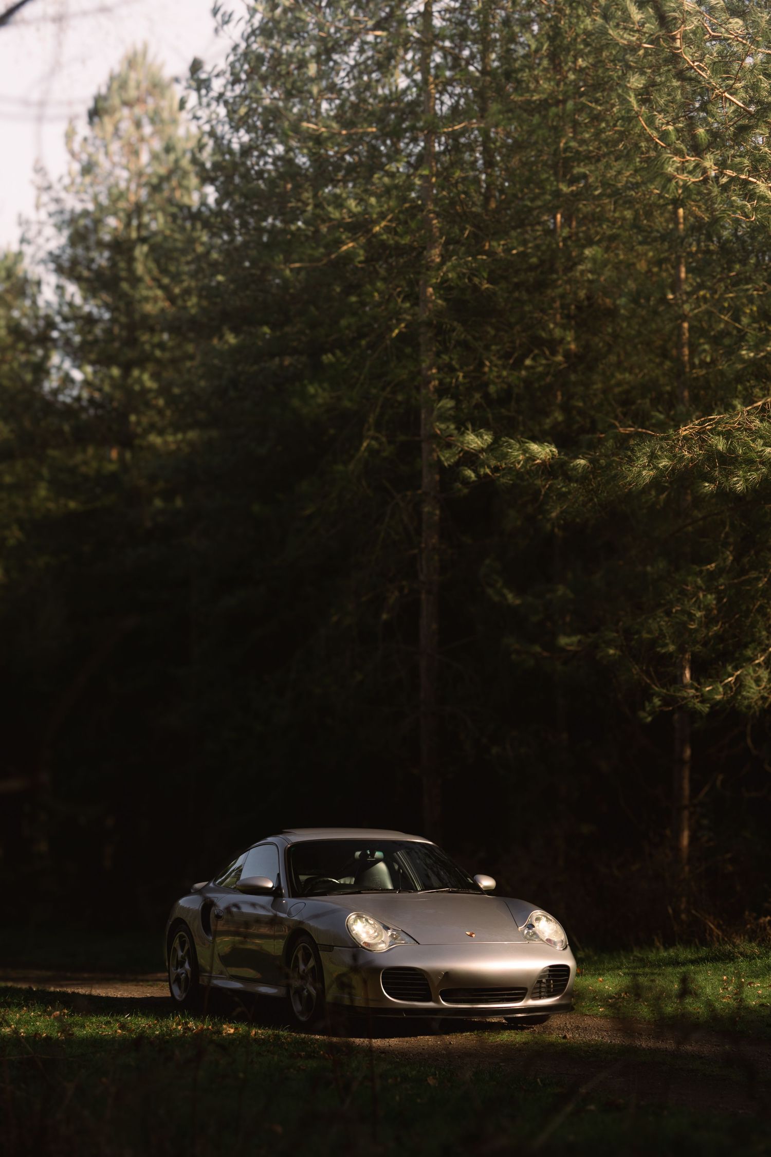 Silver Porsche 911 Turbo parked on a forest path surrounded by tall green pine trees.