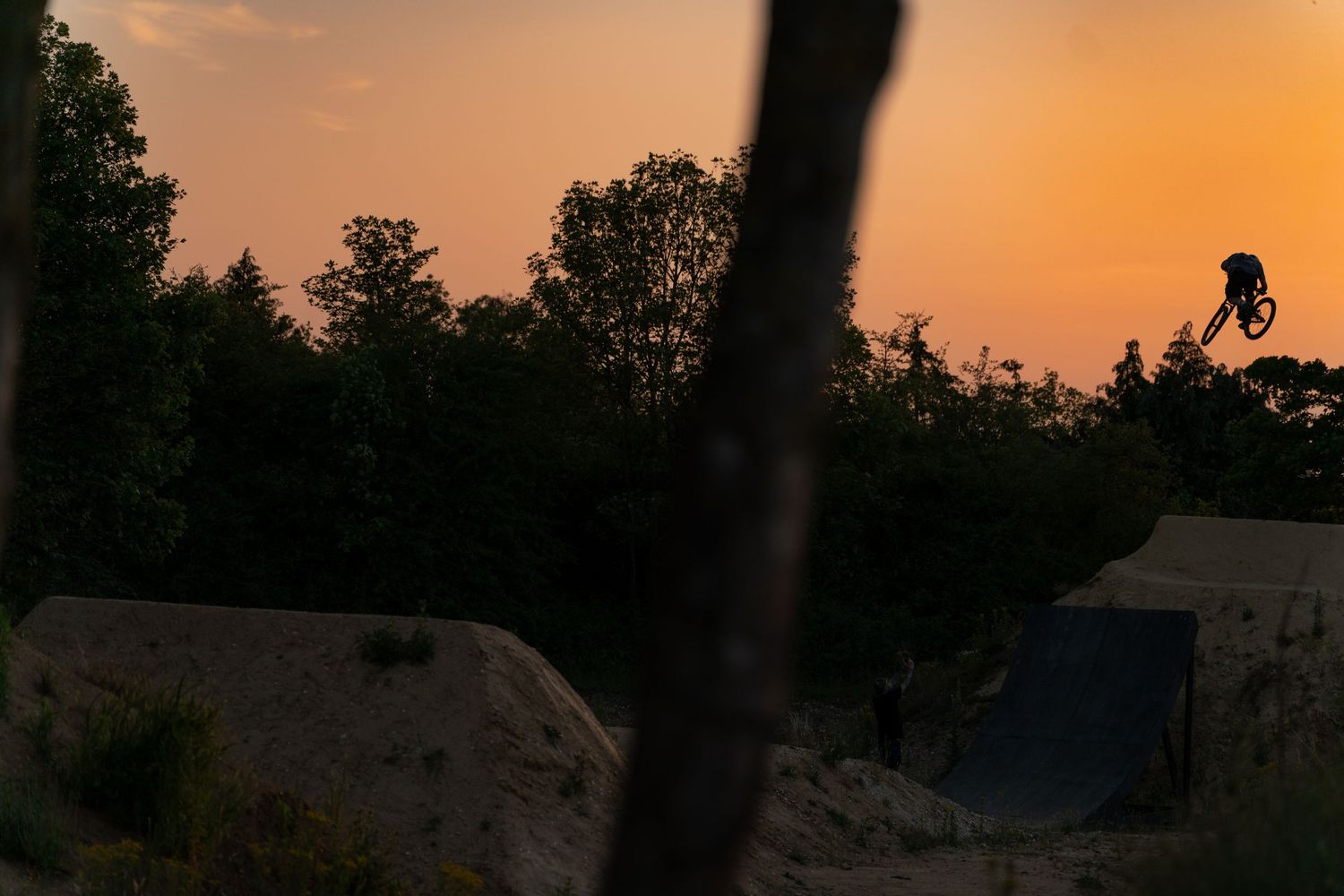 Silhouette of BMX rider performing aerial trick at skate park during golden sunset with trees in background.