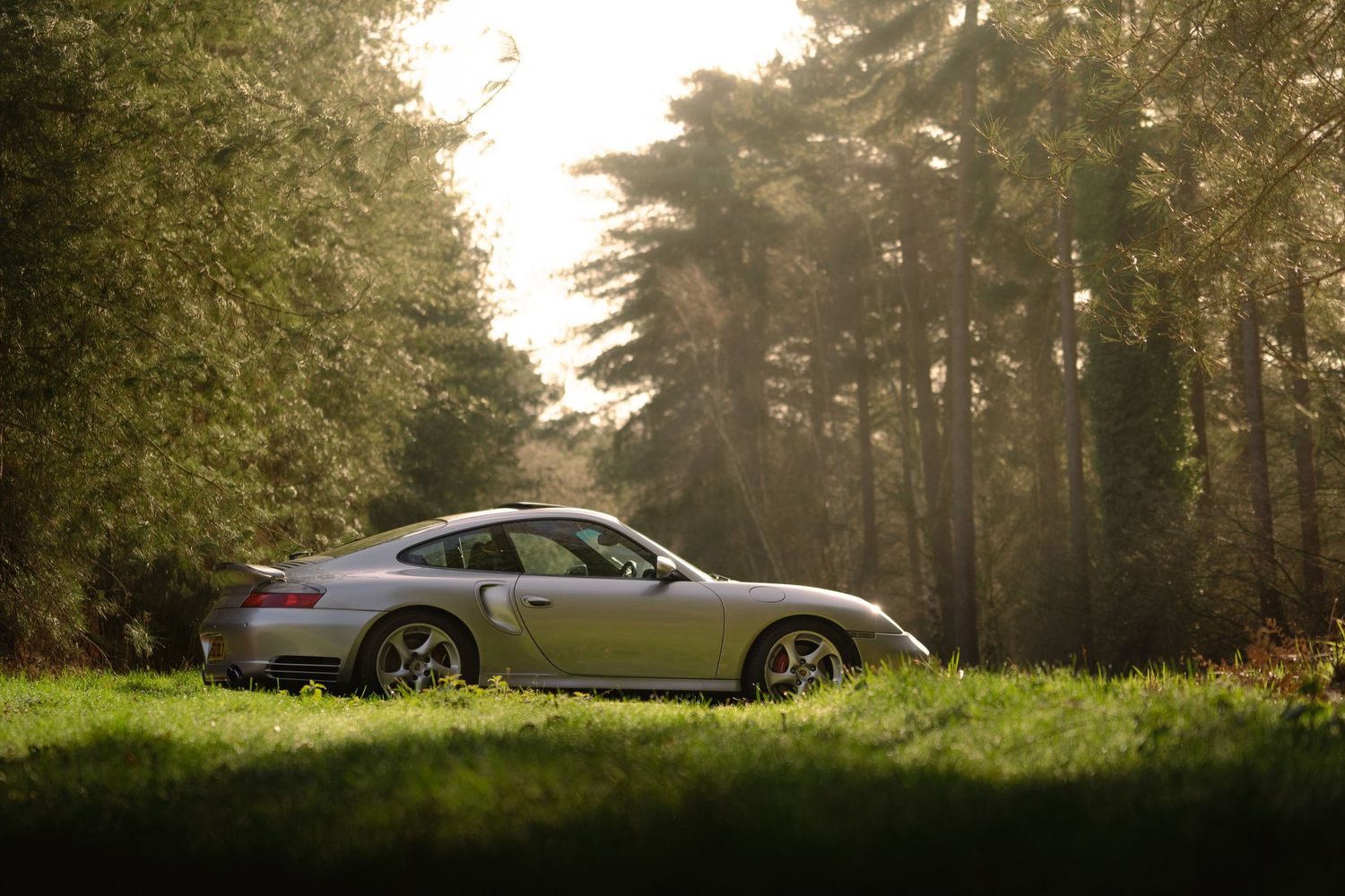 Silver Porsche 911 Turbo parked on grass in a sunlit forest clearing.
