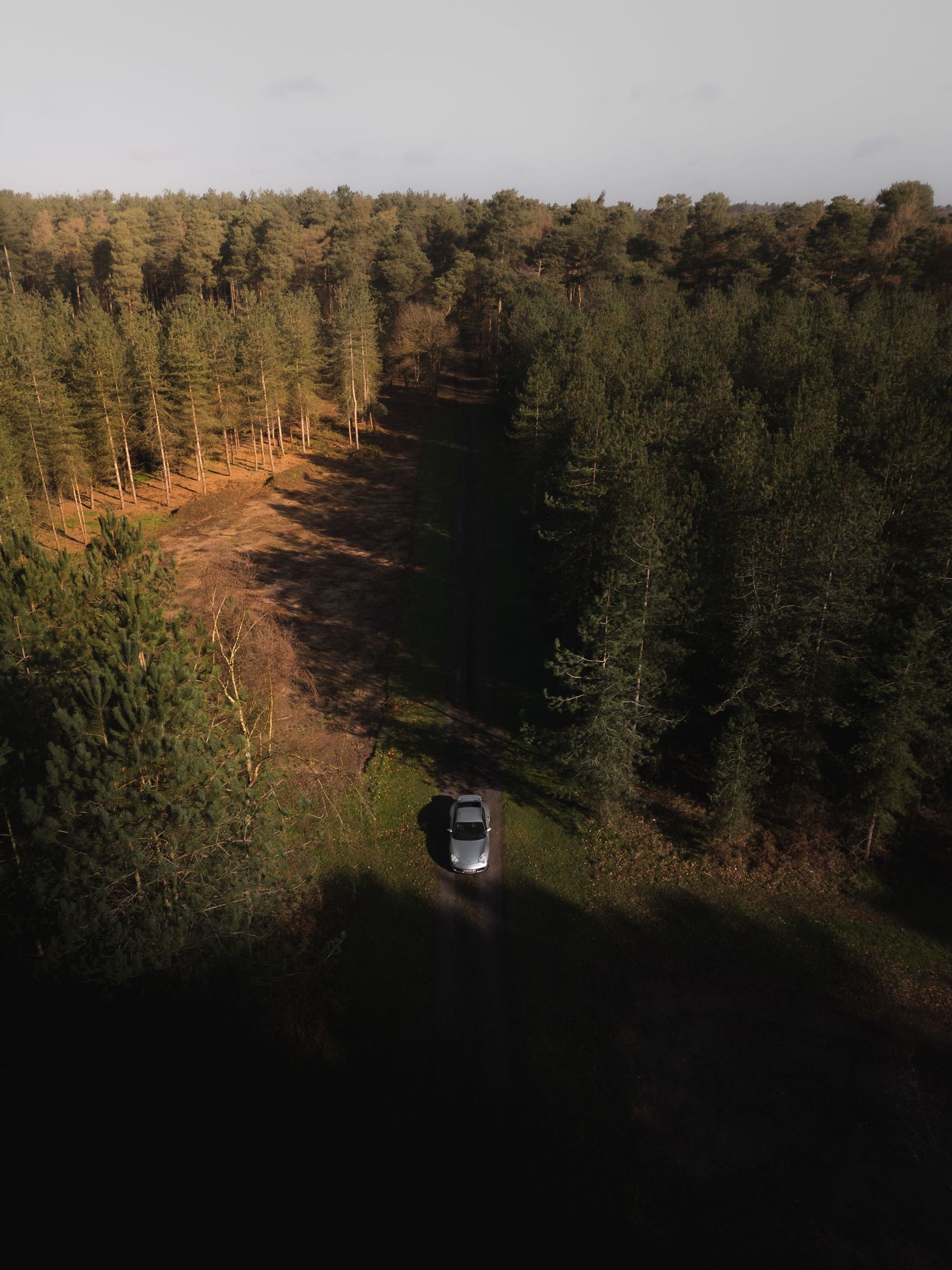 Aerial drone view of silver car parked on forest trail surrounded by tall pine trees in golden light.