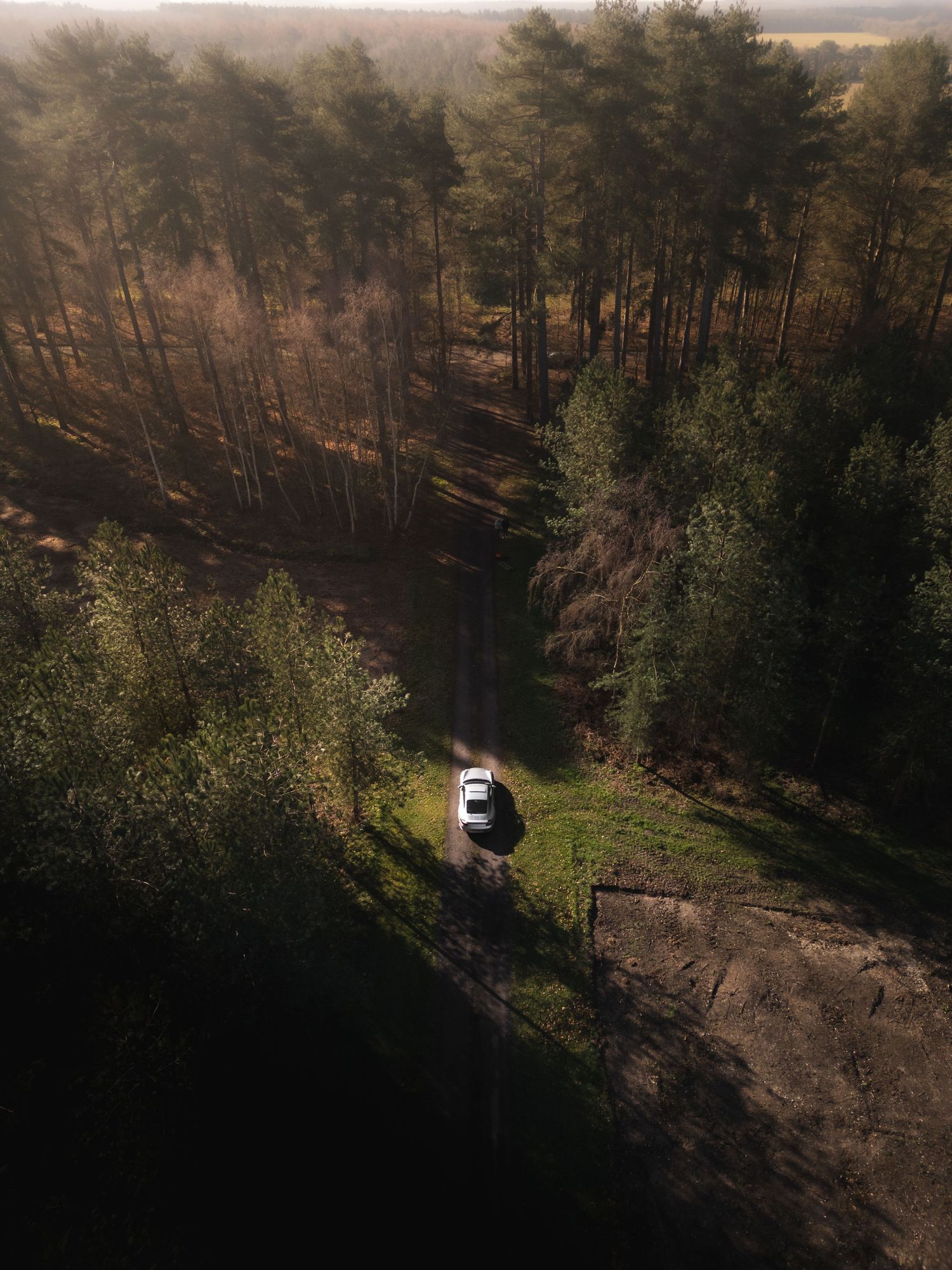 High aerial drone shot of a white Porsche 911 on a sunlit forest trail surrounded by pine trees.