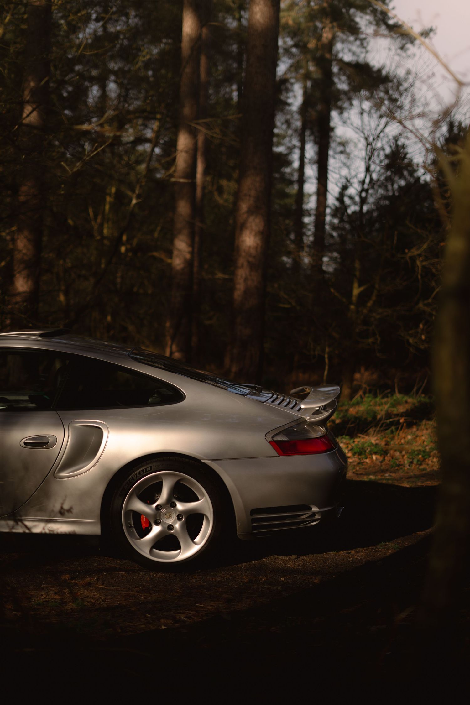 Silver Porsche 911 Turbo rear three-quarter view parked on a forest track with dramatic moody lighting.