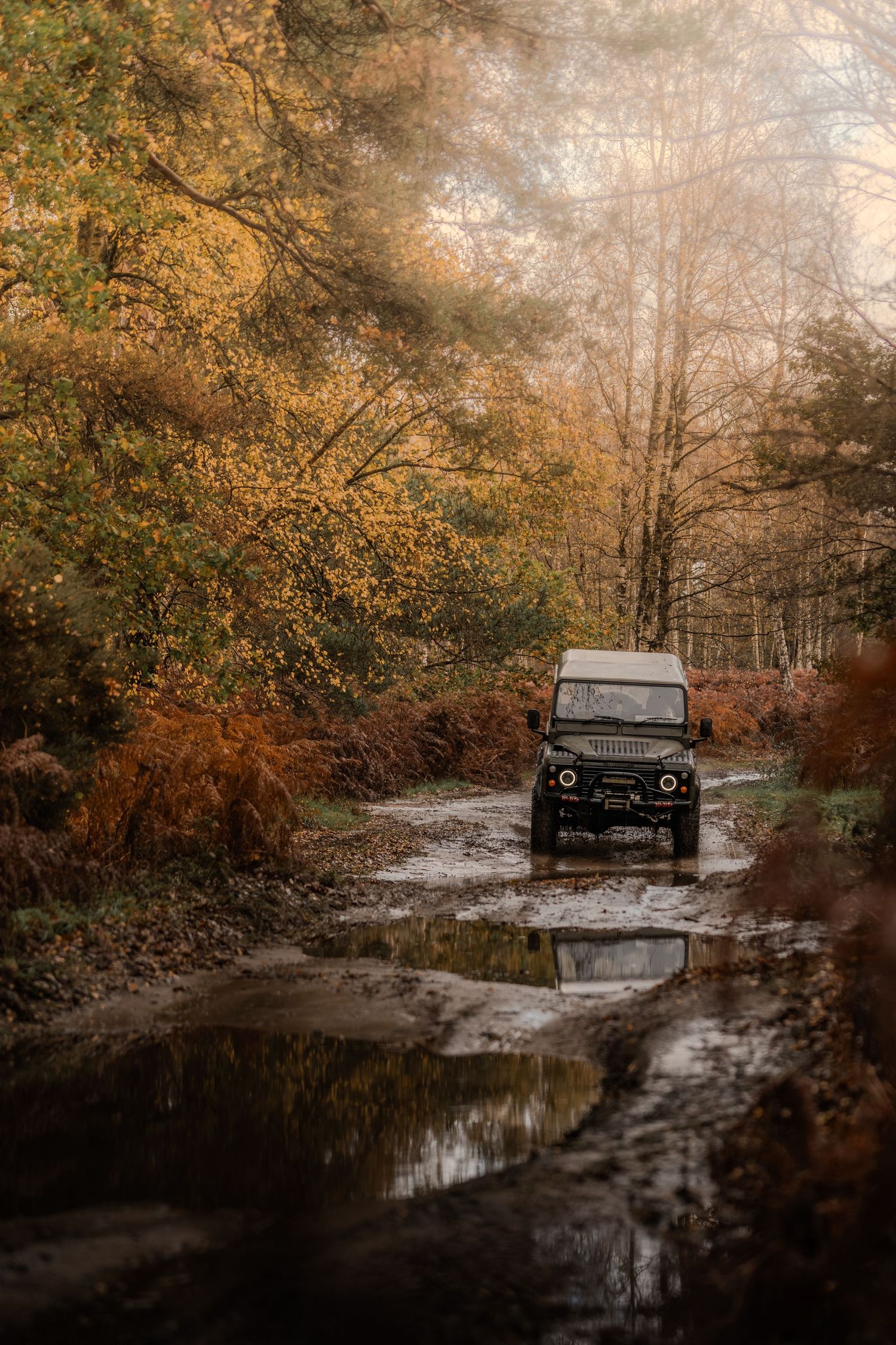Land Rover Defender driving through a muddy forest trail with golden autumn foliage and misty light.