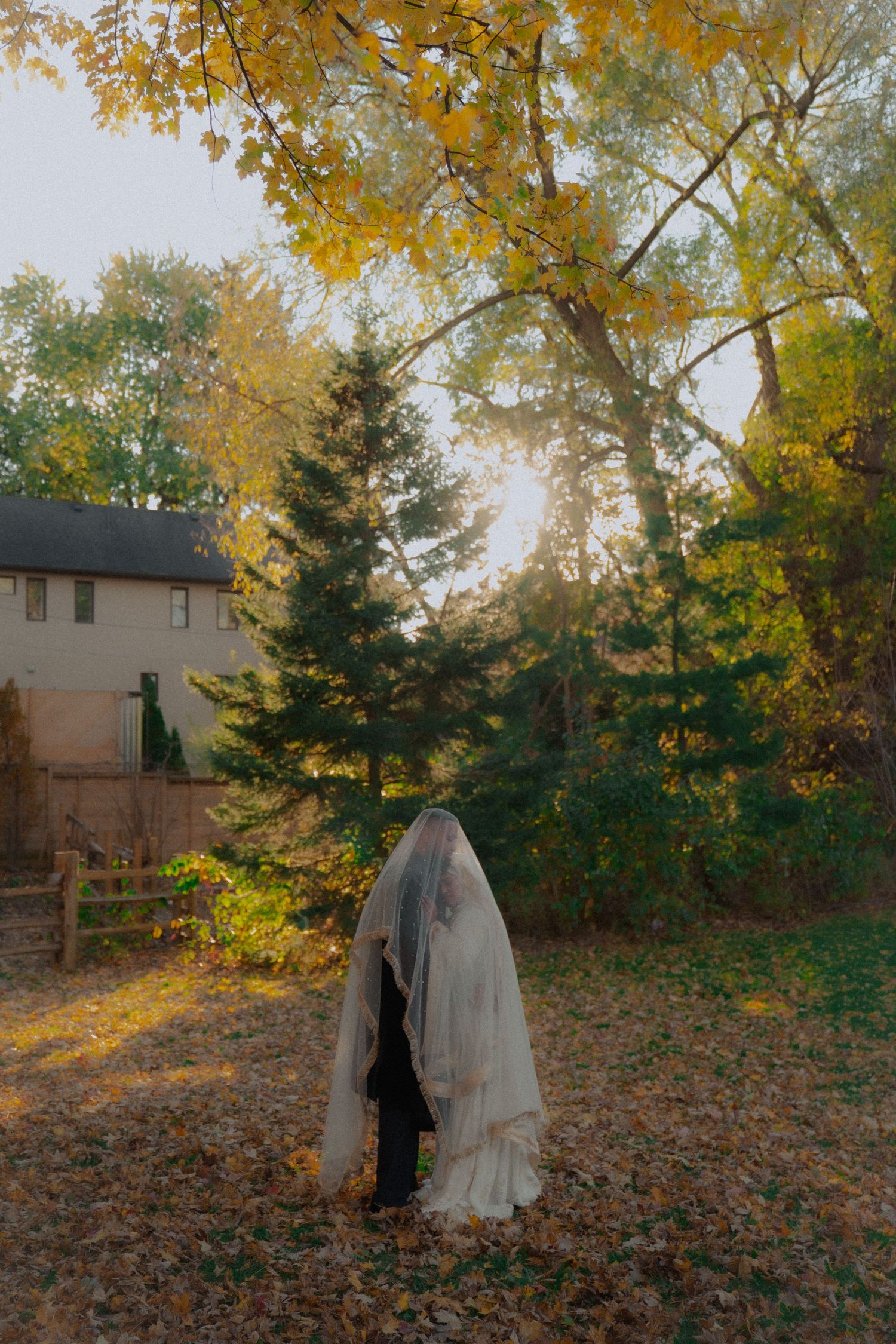 A couple walks through autumn foliage with golden leaves falling in a romantic outdoor setting.