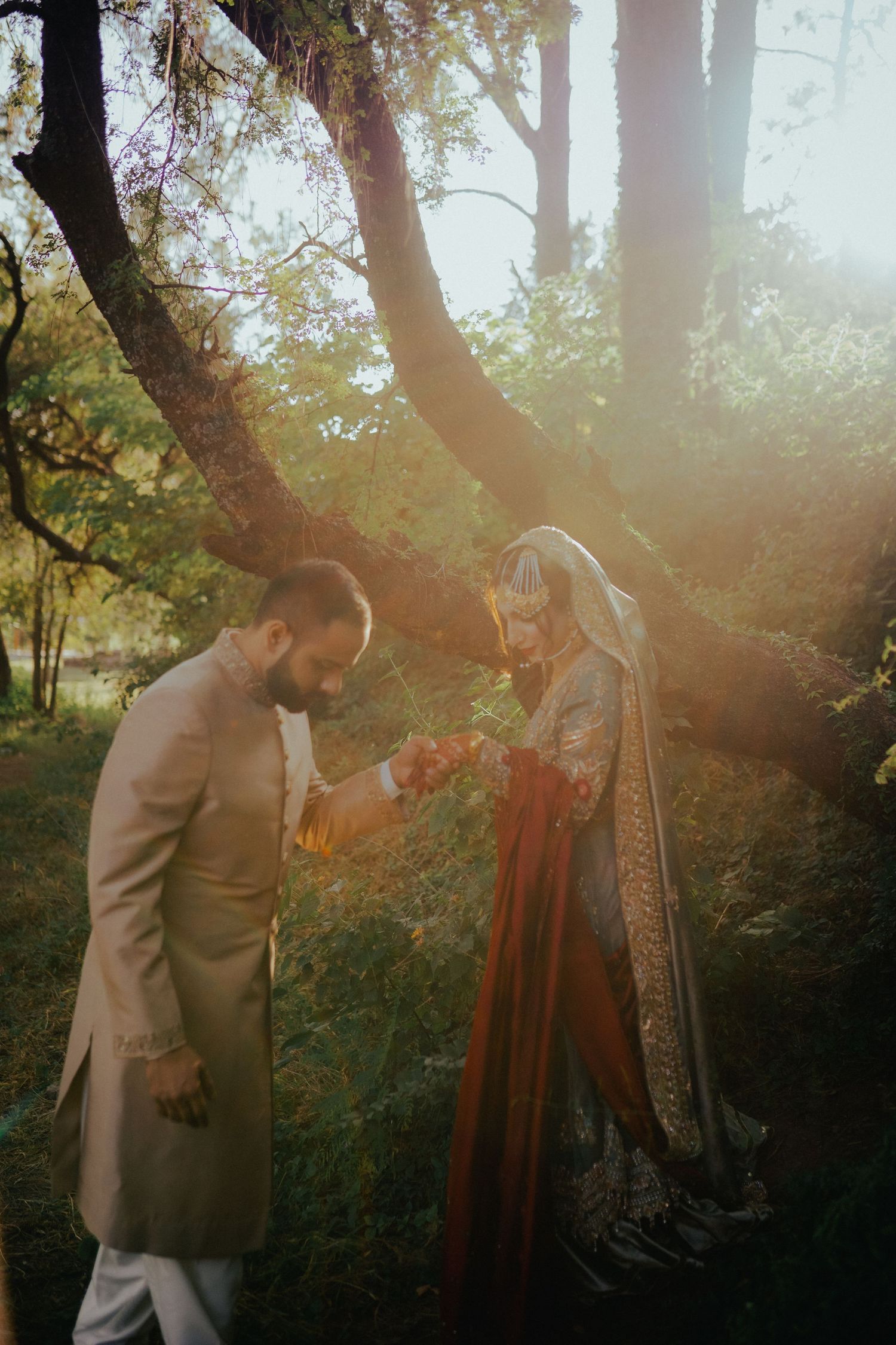 Two people share an intimate moment in a sun-drenched forest setting with golden light filtering through the trees.