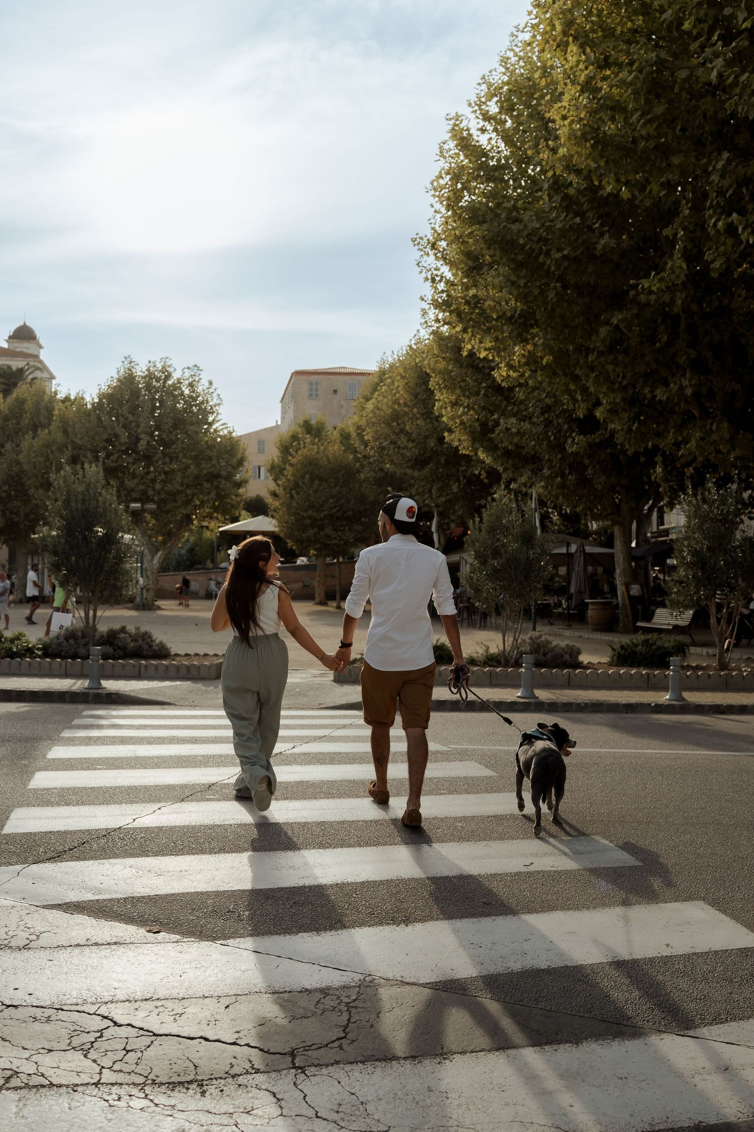 Couple walking hand in hand with their black dog across a pedestrian crosswalk lined with green trees.