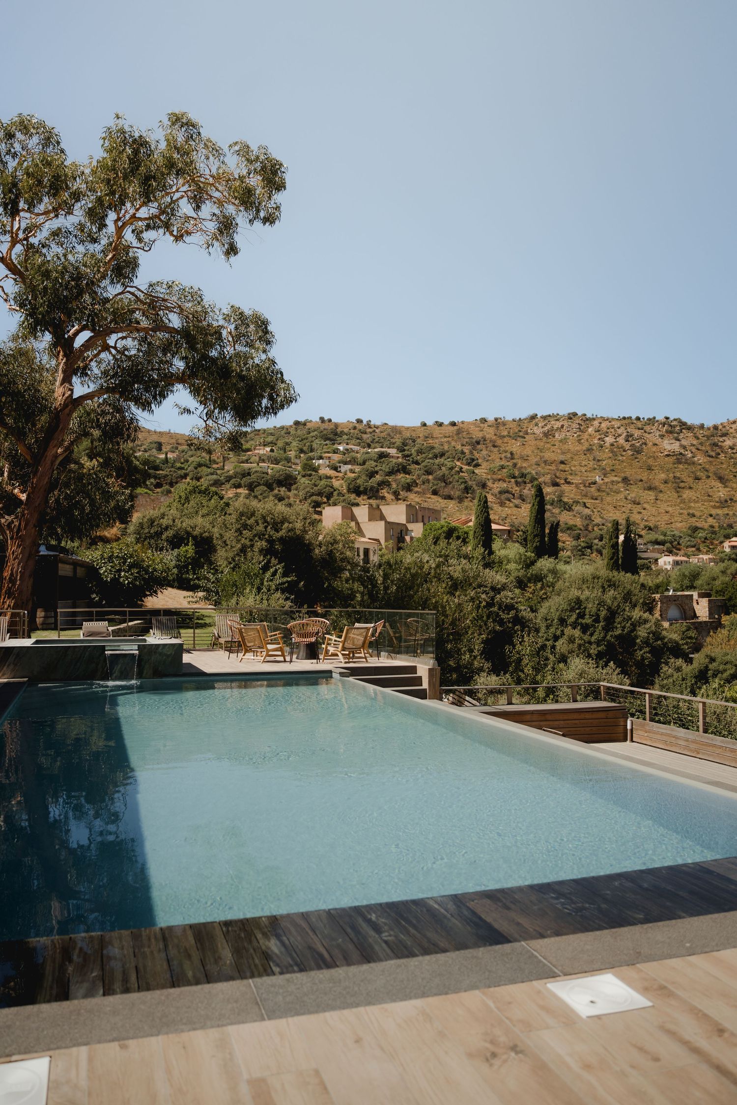 Luxury infinity pool with mountain views, surrounded by lush greenery and olive trees under clear blue sky.