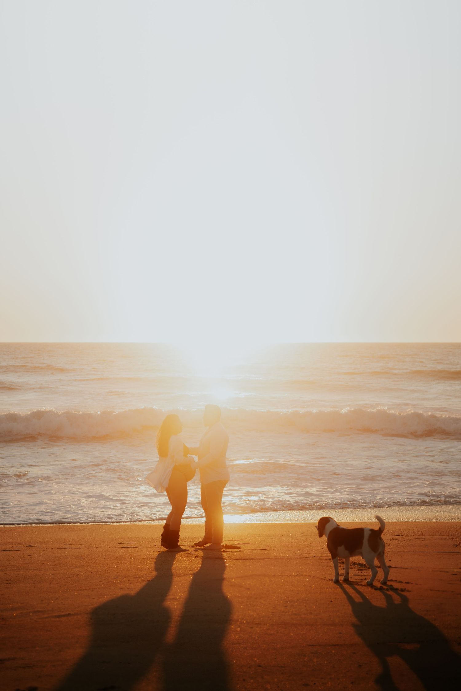 Couple standing together at sunset on a beach with their dog beside the glowing ocean waves.