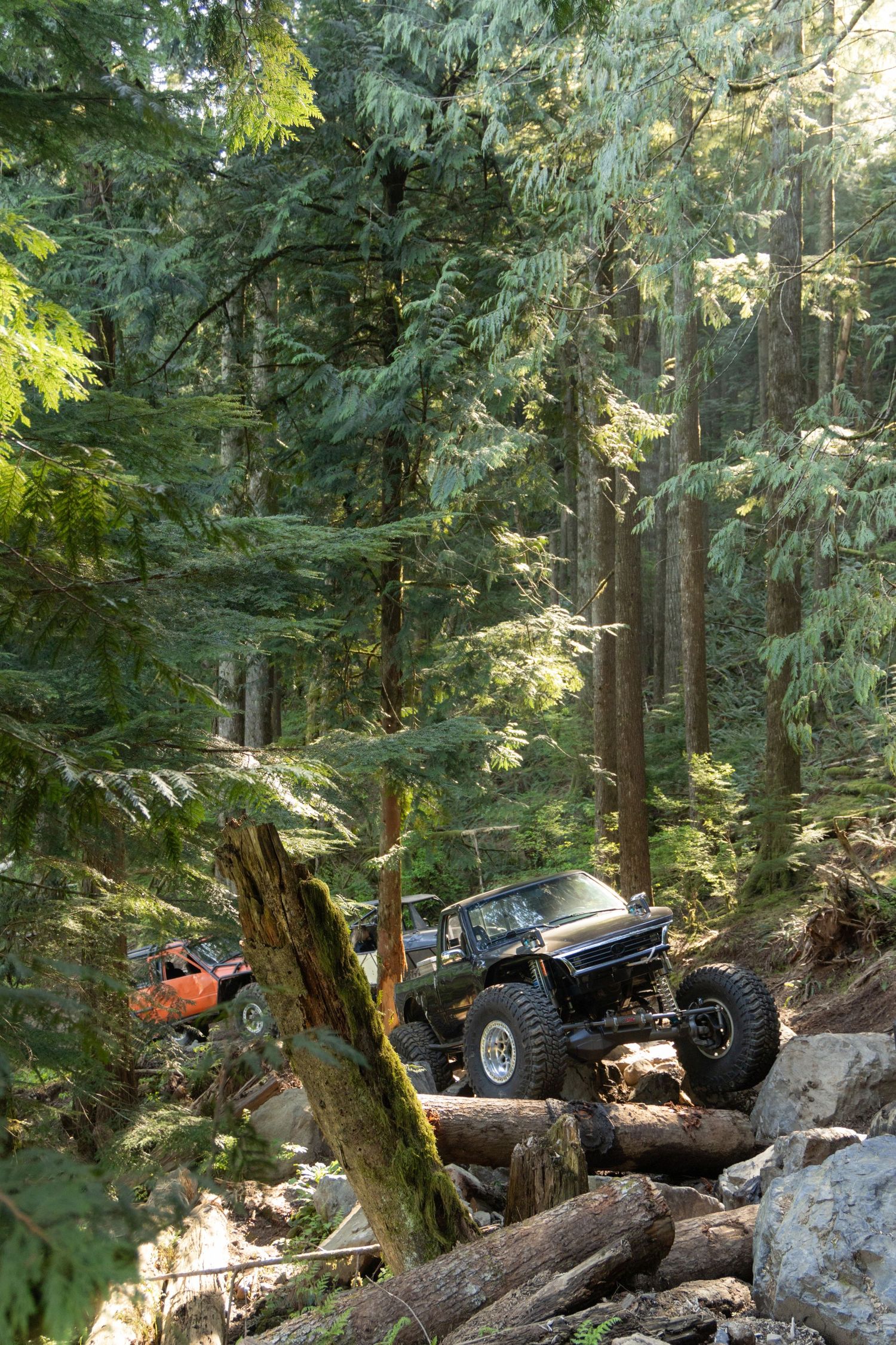 A black off-road vehicle navigates challenging terrain over fallen logs and rocks in a dense forest setting.