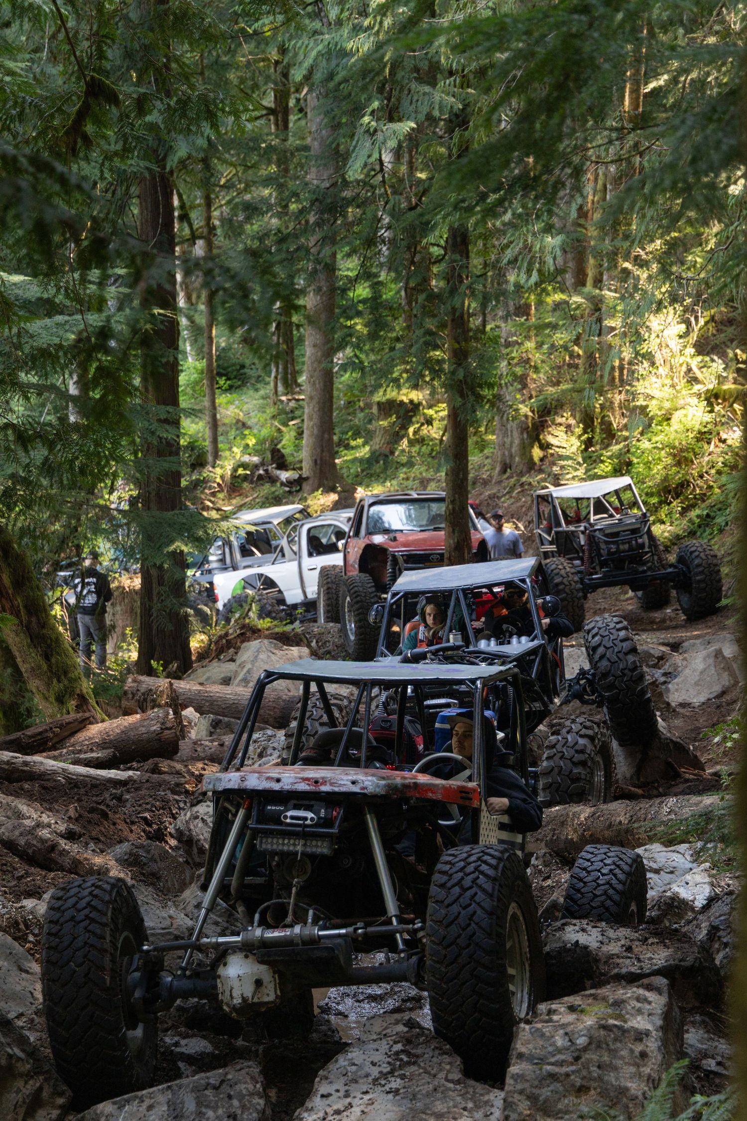 Off-road vehicles navigate rocky terrain on a challenging forest trail with large boulders and fallen logs.