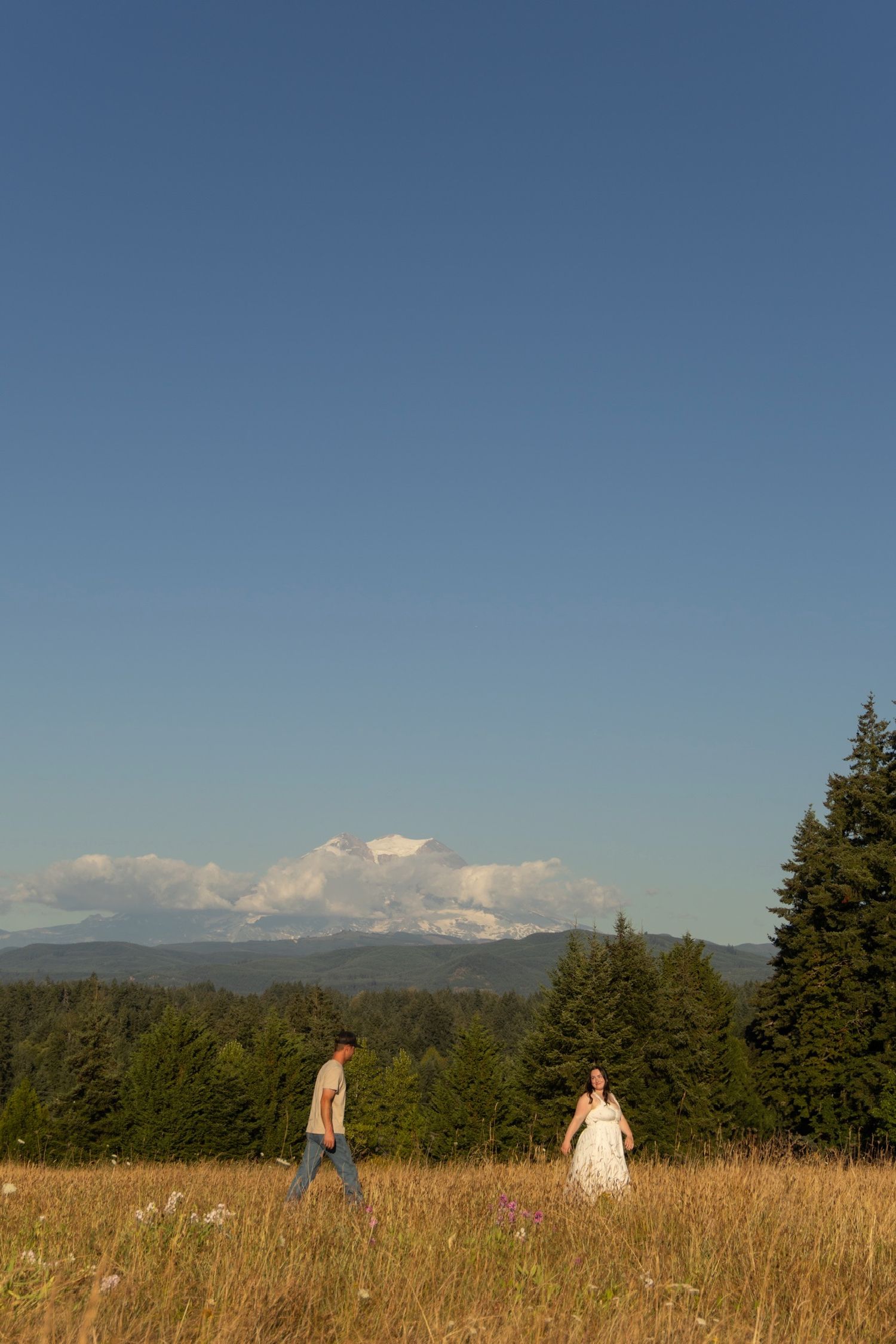 Wide landscape shot of a meadow with mountains and forest in the distance.