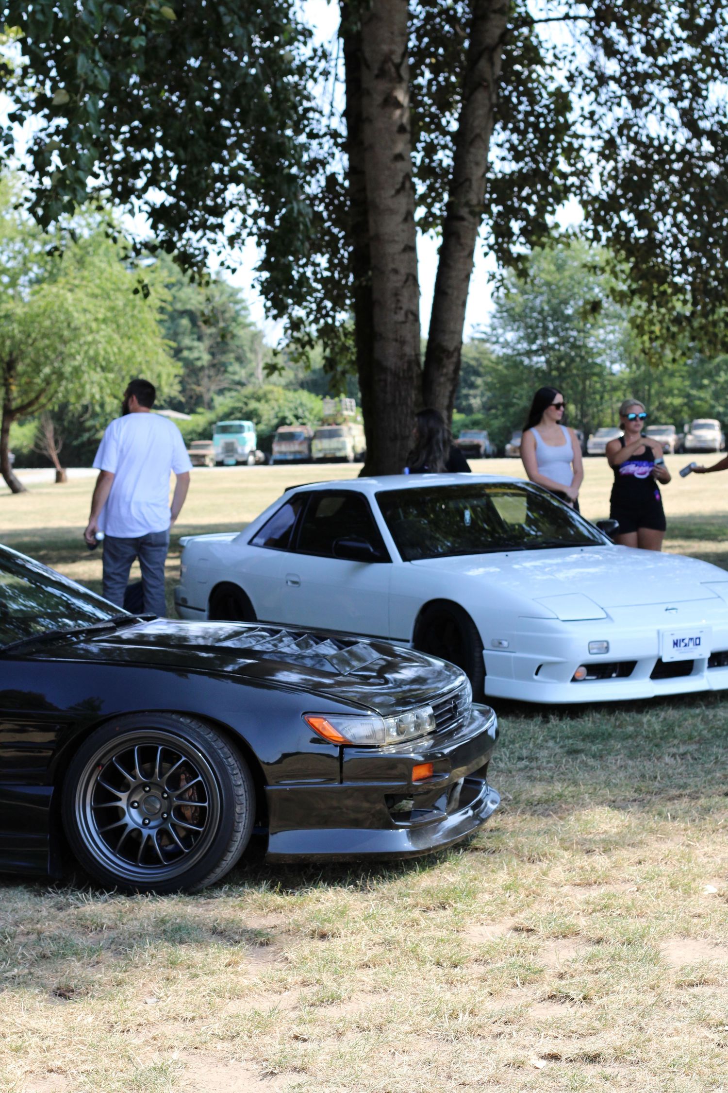 A series of classic Japanese sports cars including Nissan 240SX and Silvia models parked on grass under trees at a car meet.