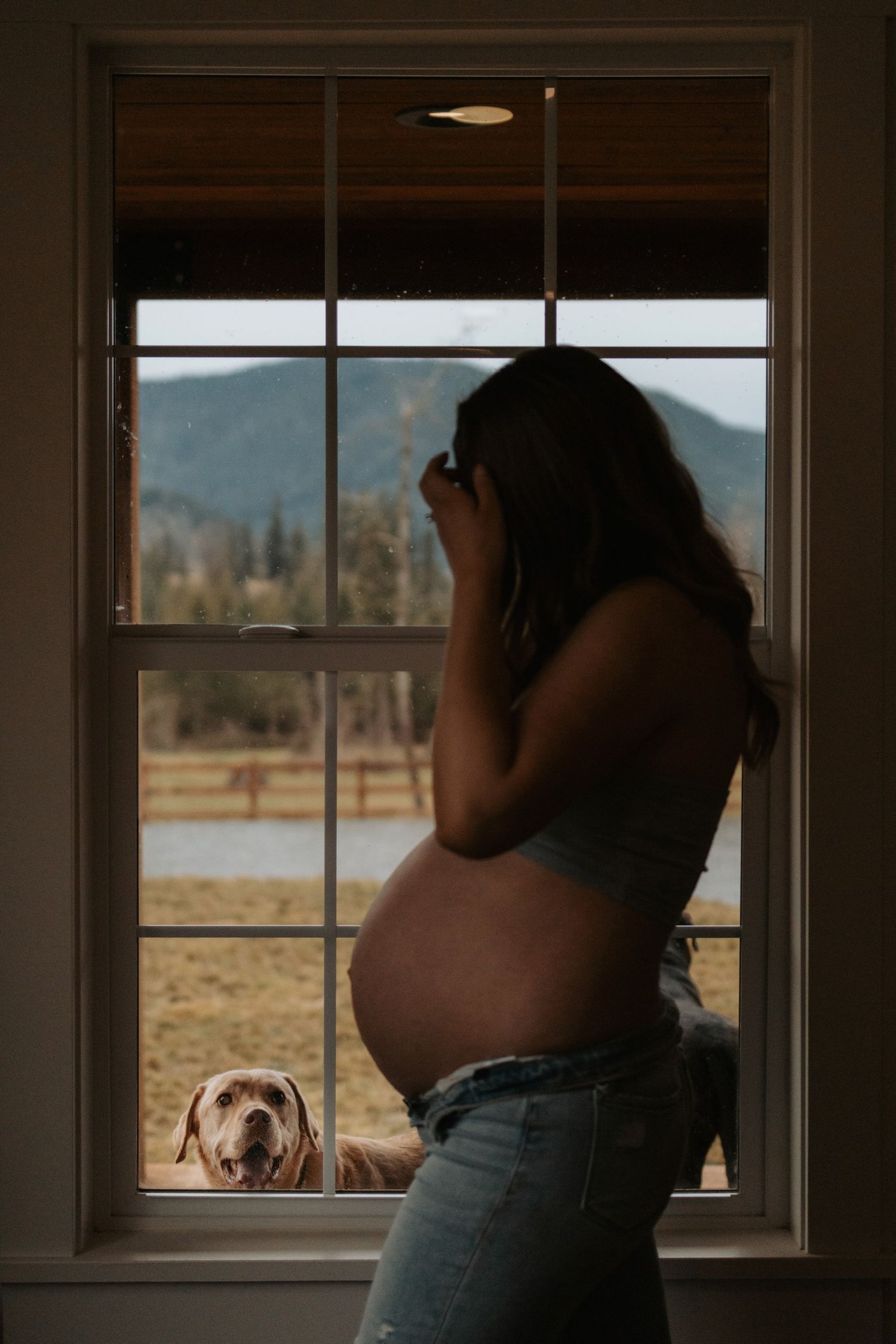 A silhouetted pregnant figure stands at a window while a dog peers in from outside.