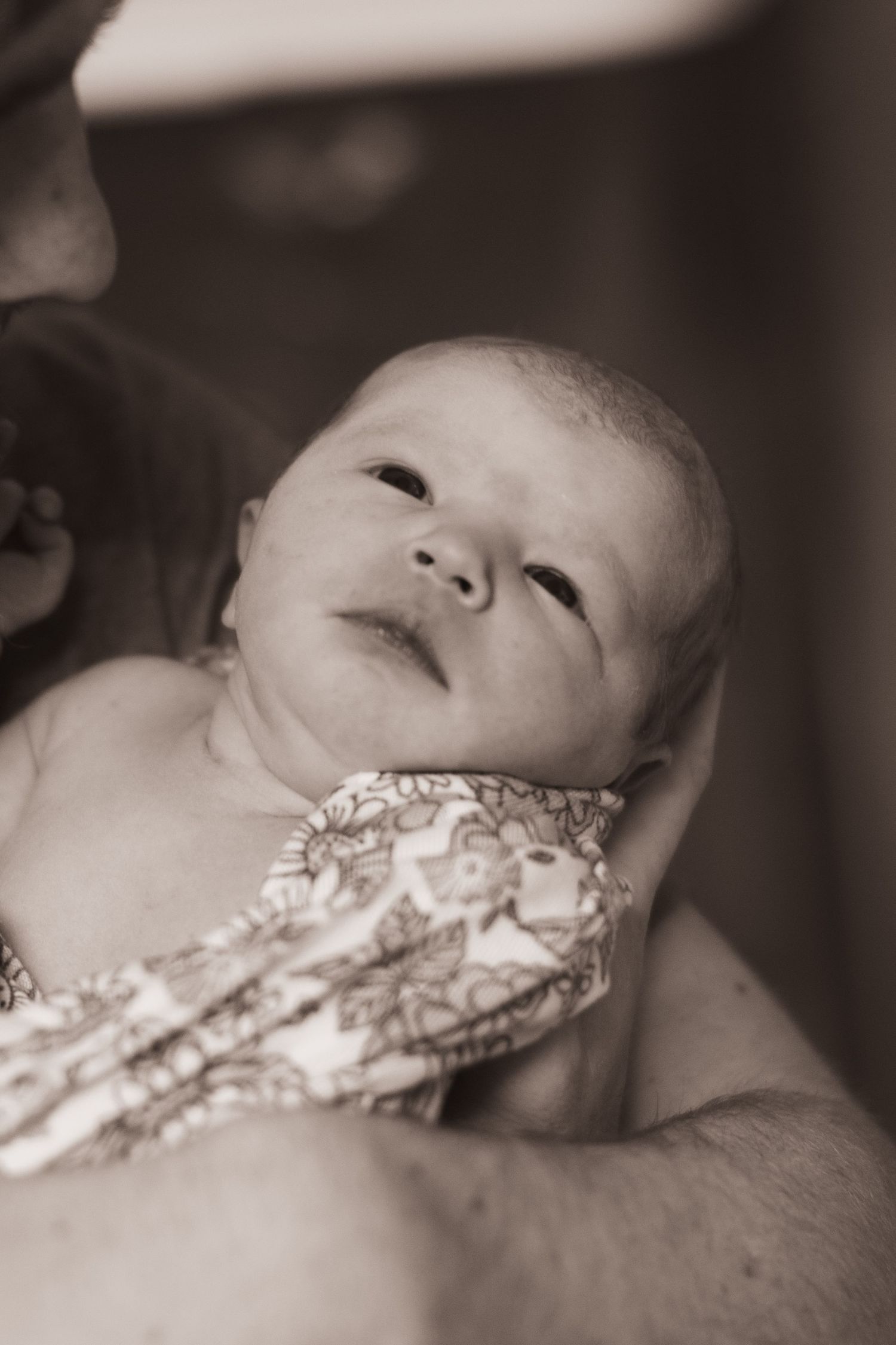 Newborn baby wrapped in hospital blanket during Fresh 48 session