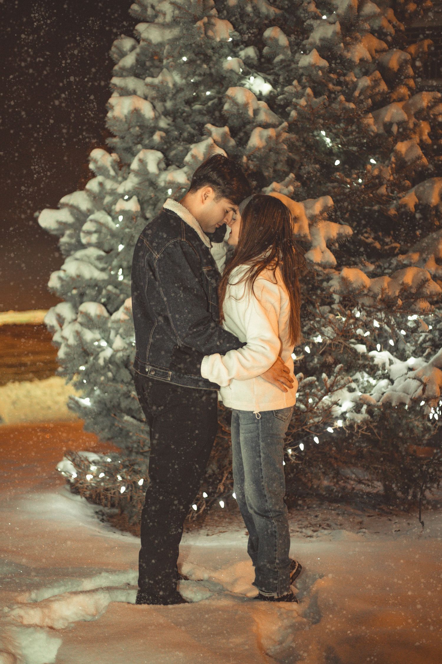 A romantic winter scene with snow-covered evergreen trees and warm lighting in the background.