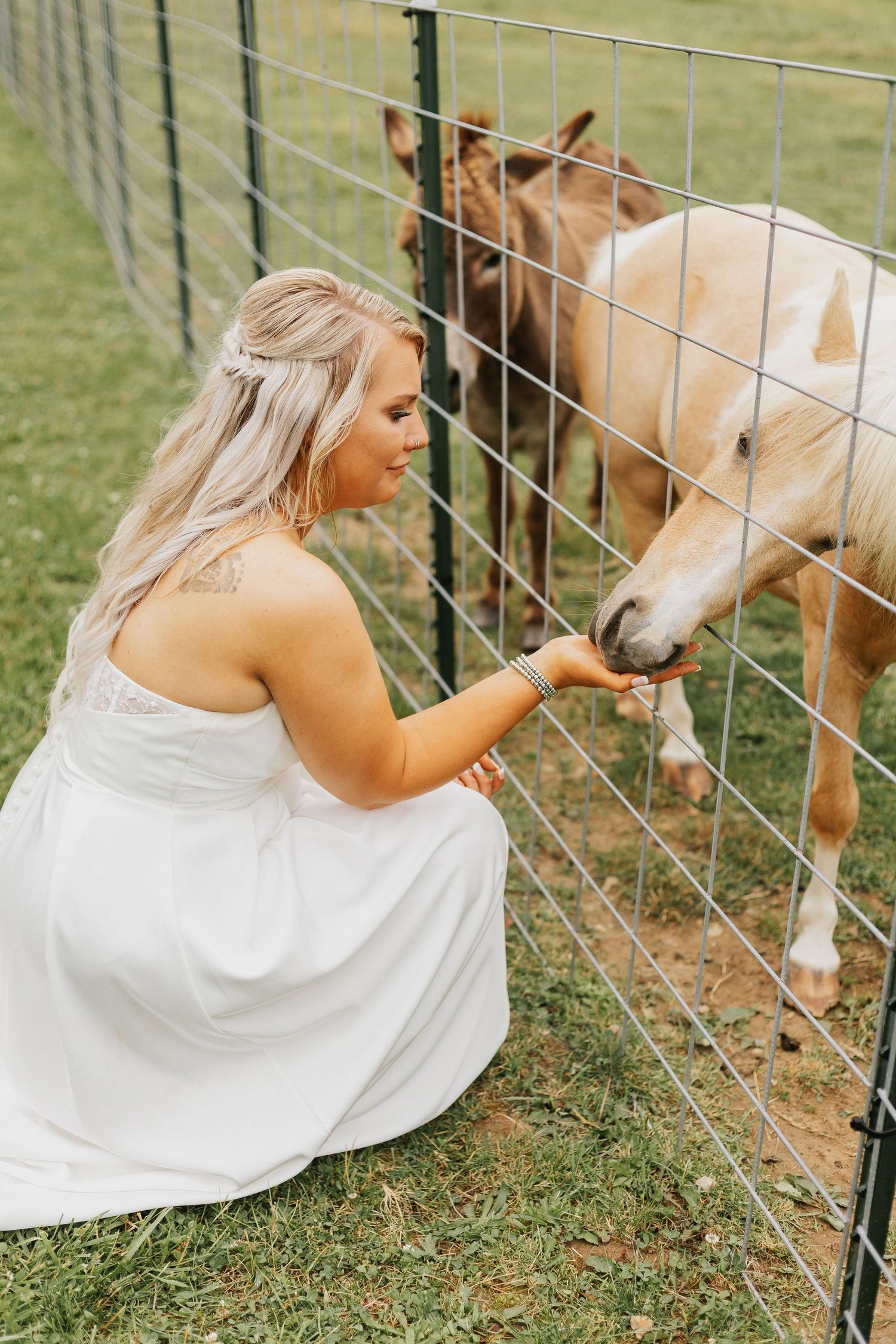 Person in white dress interacting with horses through a fence in a grassy field.