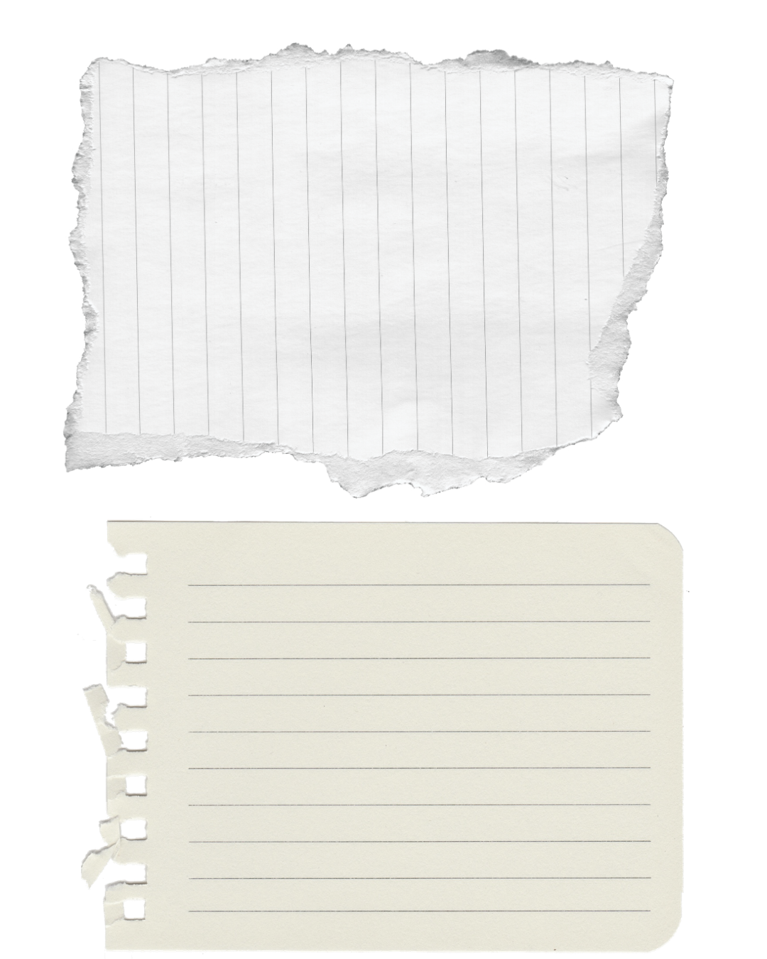 Two pieces of torn lined notebook paper on white background.