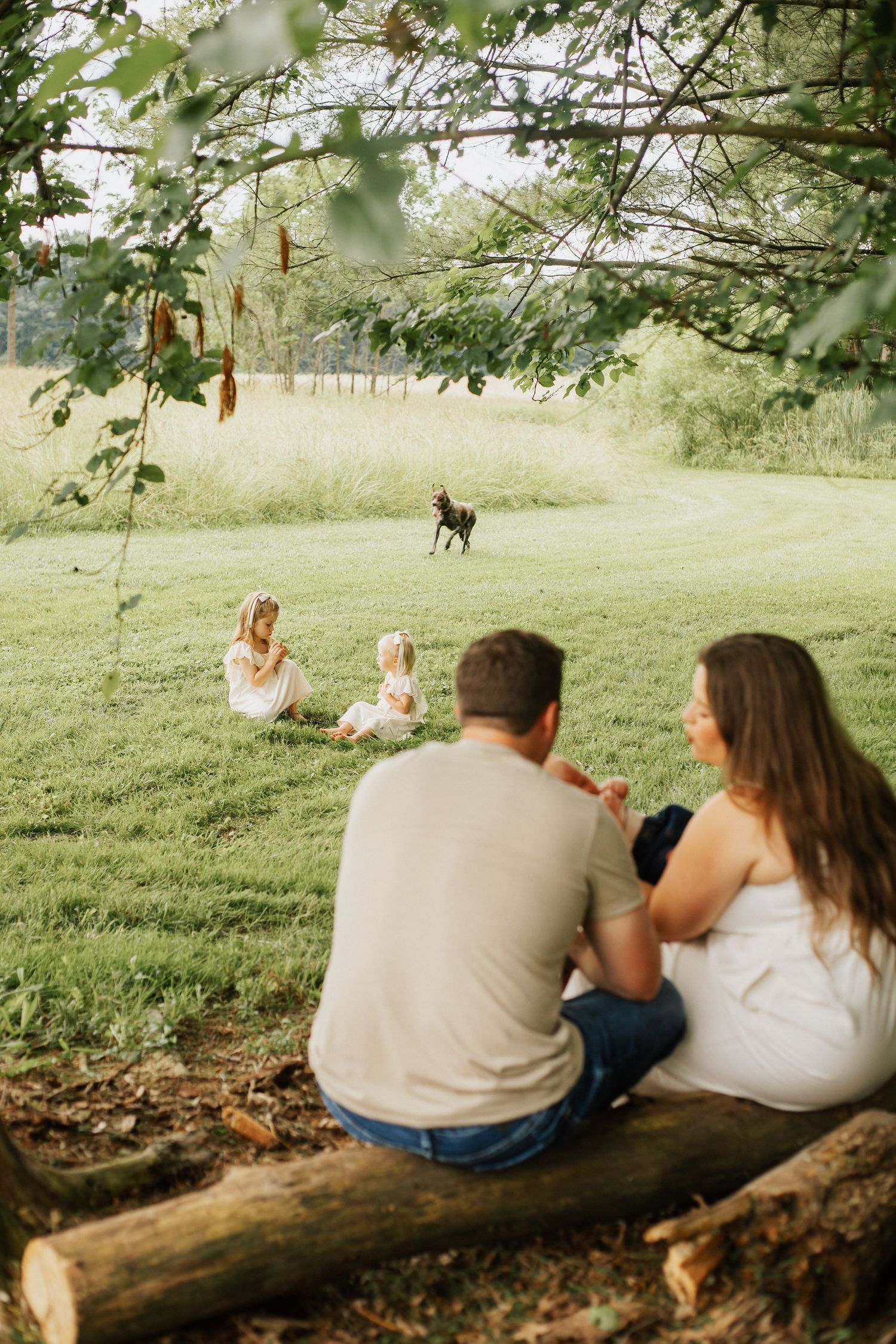 Couple relaxing on a fallen log in a peaceful wooded setting.