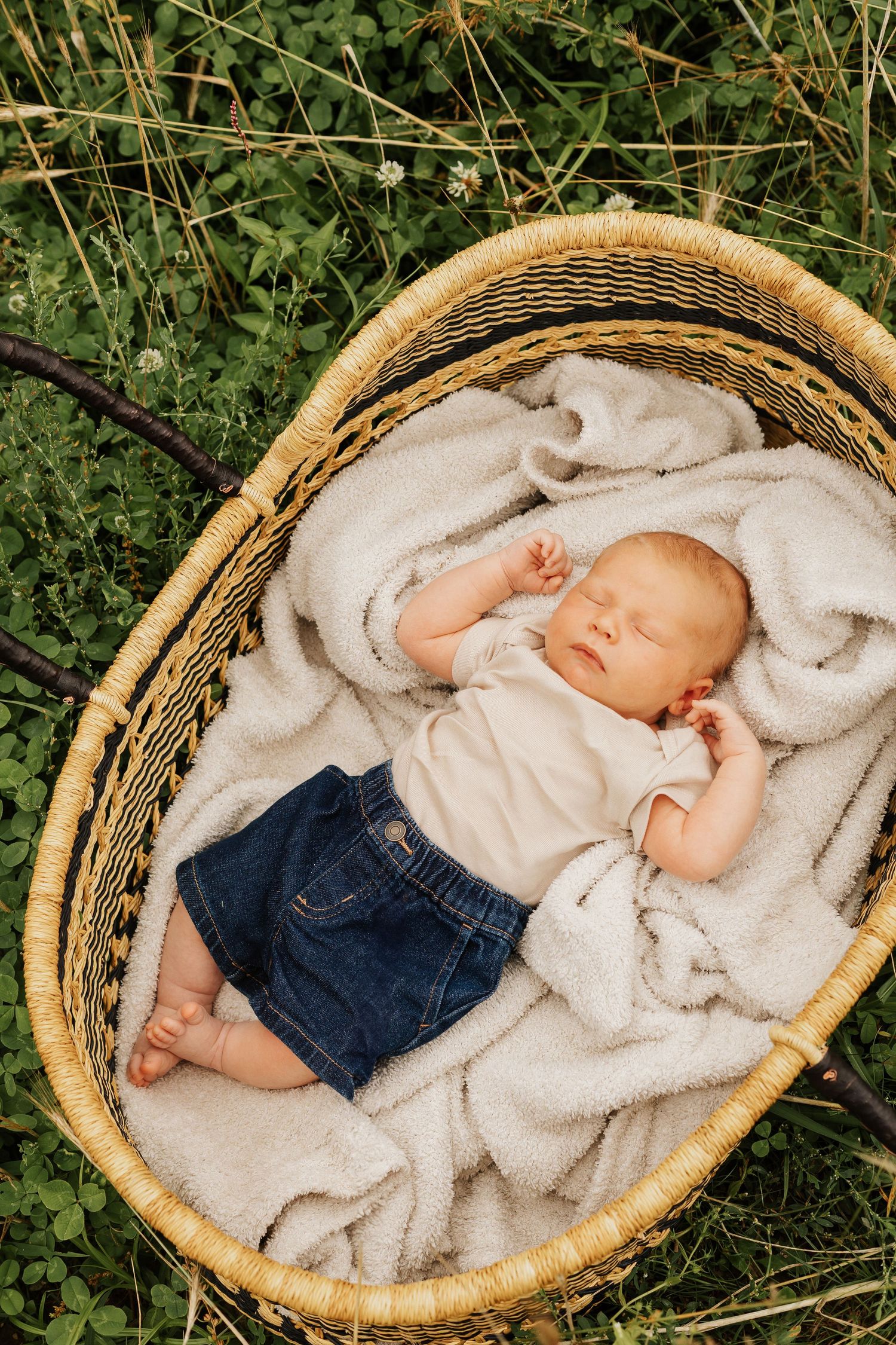 Sleeping baby in cozy woven basket nestled among tall grass outdoors.