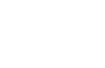 Empty white background image placeholder.