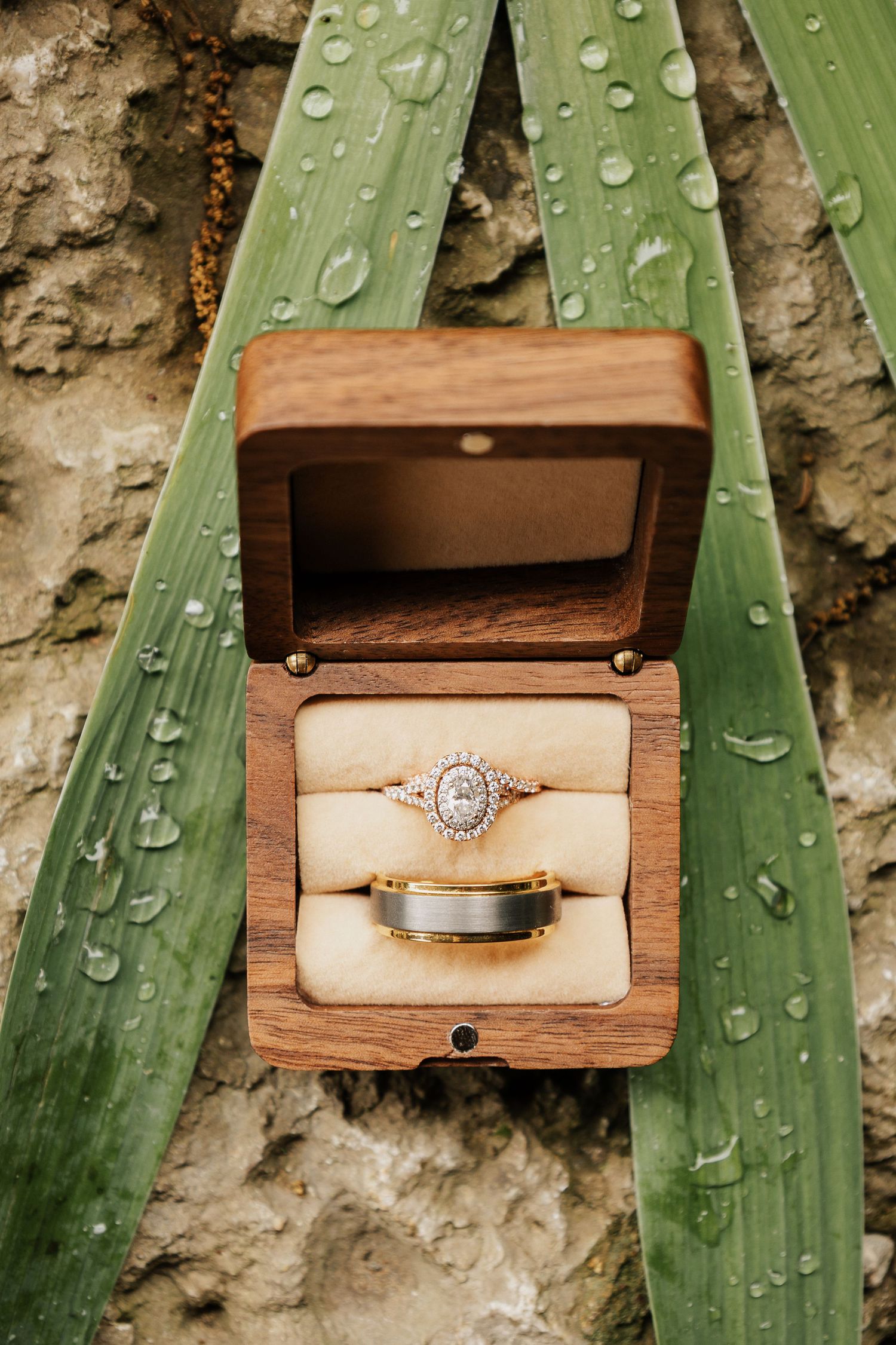 Diamond engagement rings displayed in wooden boxes on tropical green leaves with water droplets.