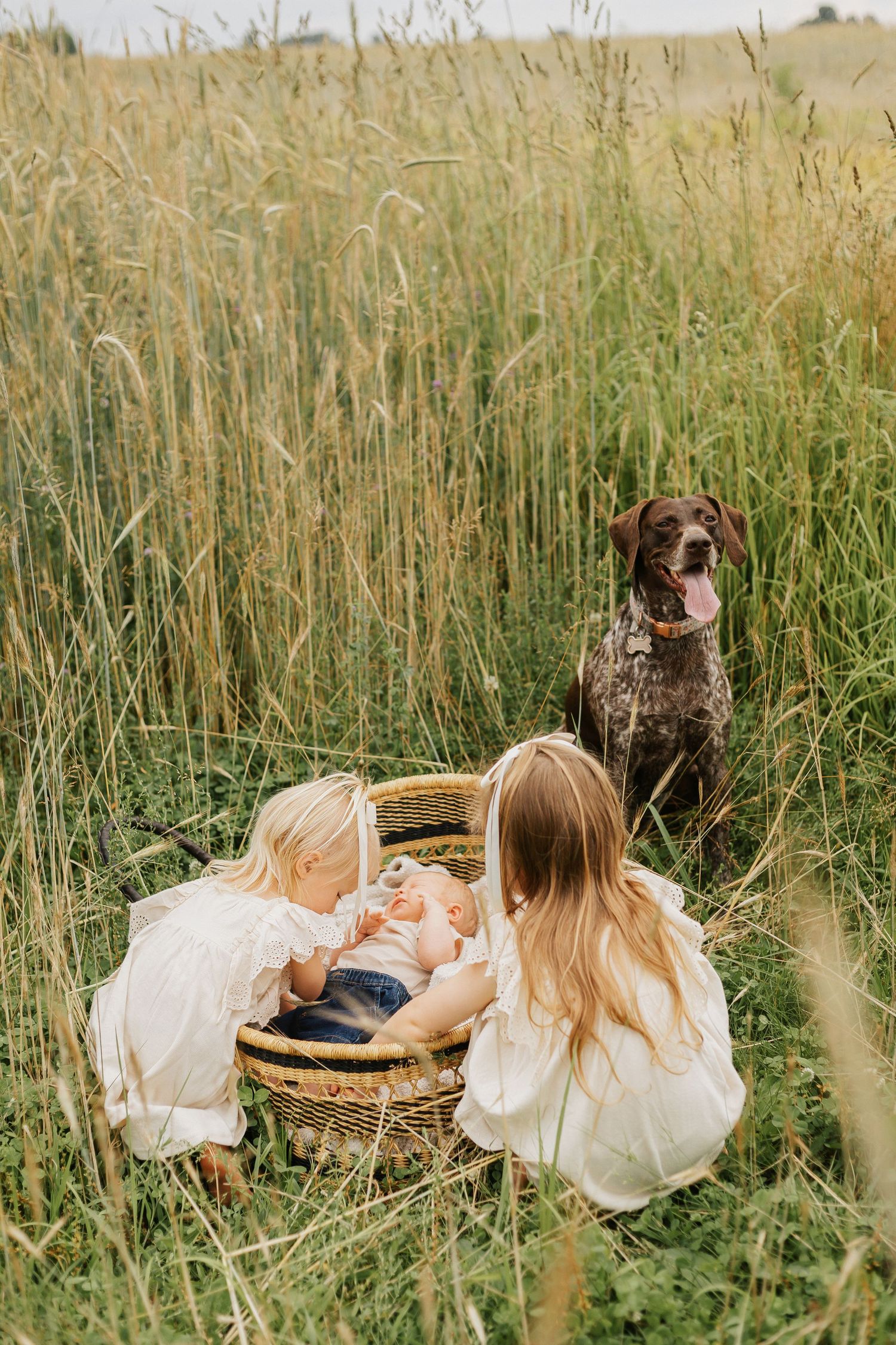Family and dog enjoying a picnic in tall grass with woven basket.