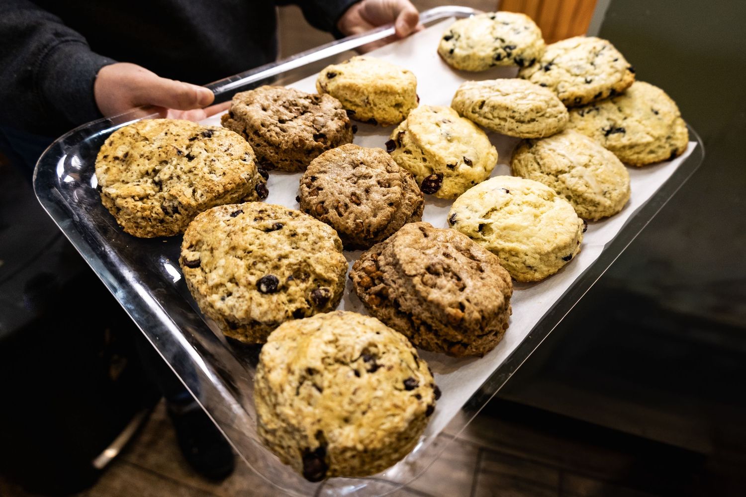 Fresh baked chocolate chip cookies cooling on baking sheet.