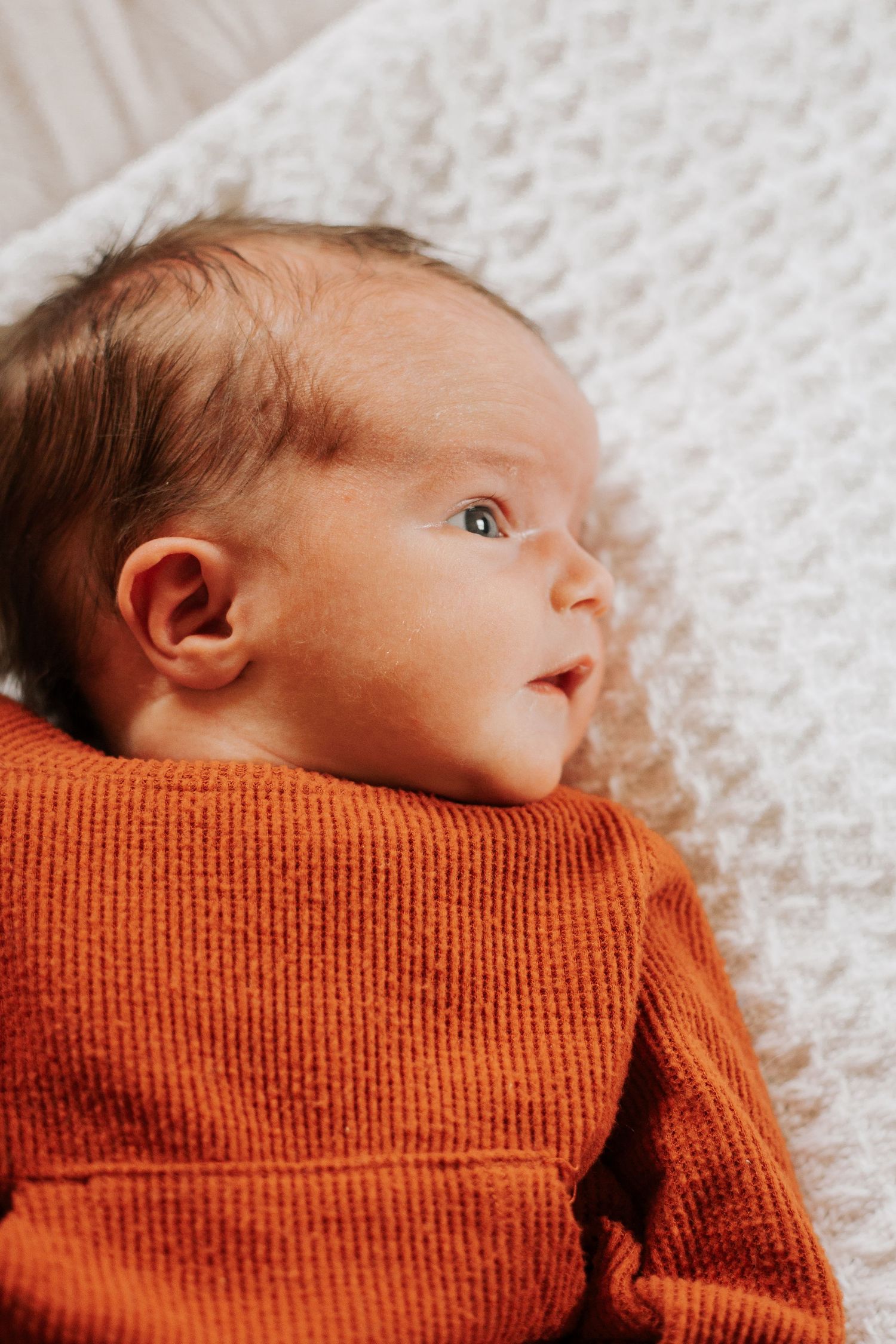 Close-up profile of a newborn wearing a rust-colored outfit against white textured fabric.