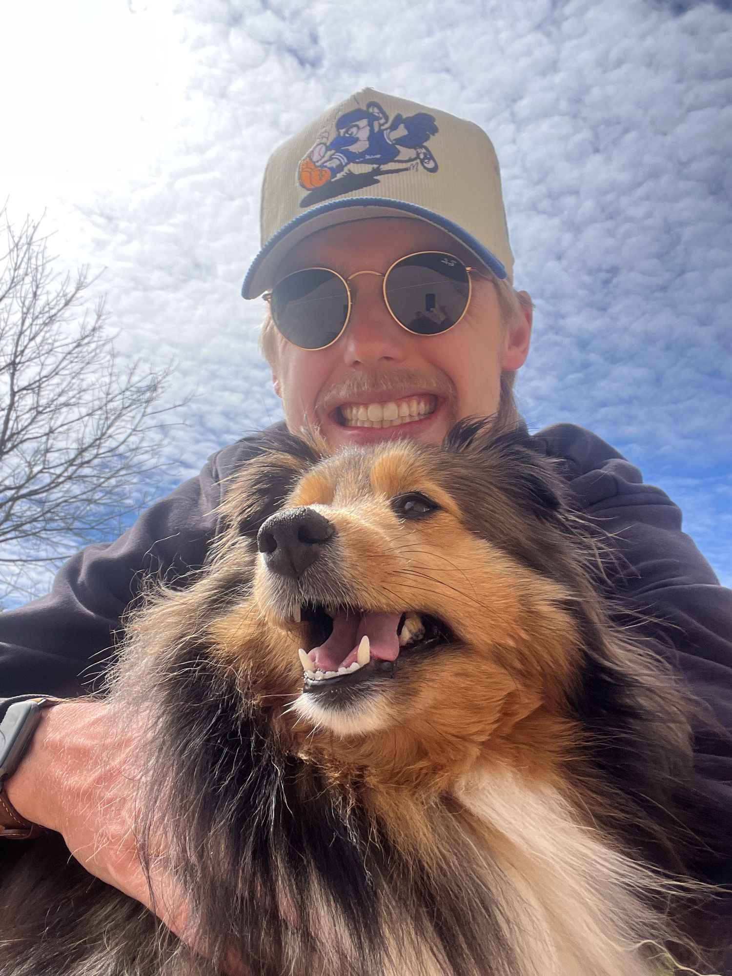 Happy Sheltie dog with person wearing baseball cap against blue sky.