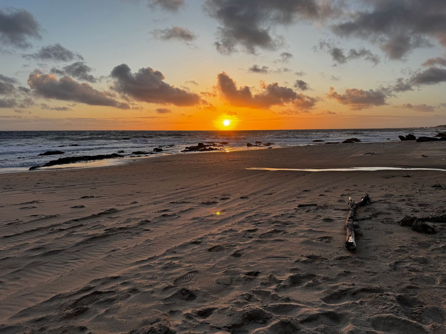 Golden sunset over calm ocean beach with rippled sand and driftwood on tropical shore.