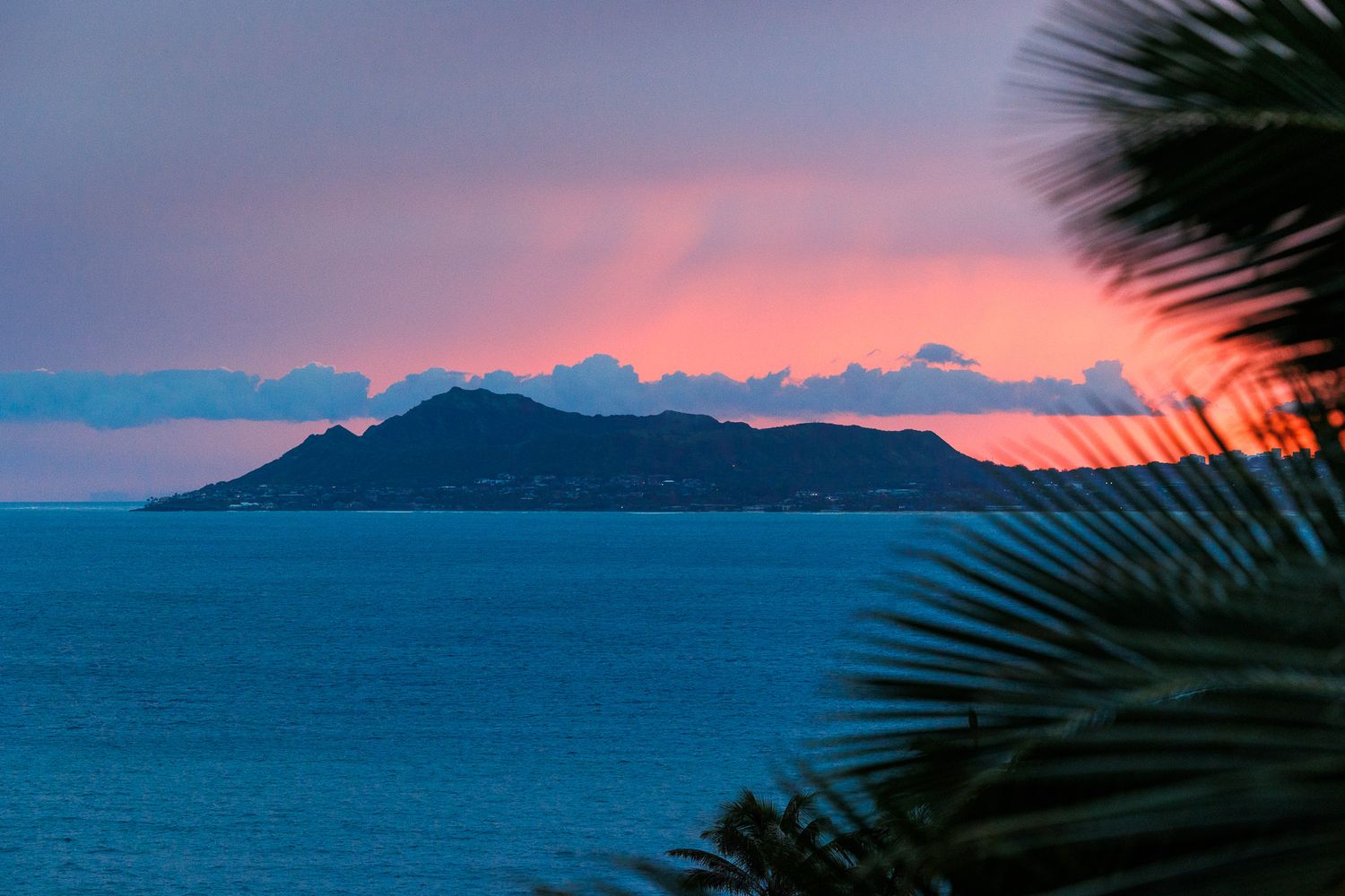 Tropical sunset over a calm blue ocean with a silhouetted island, pink sky, and palm fronds framing the scene.