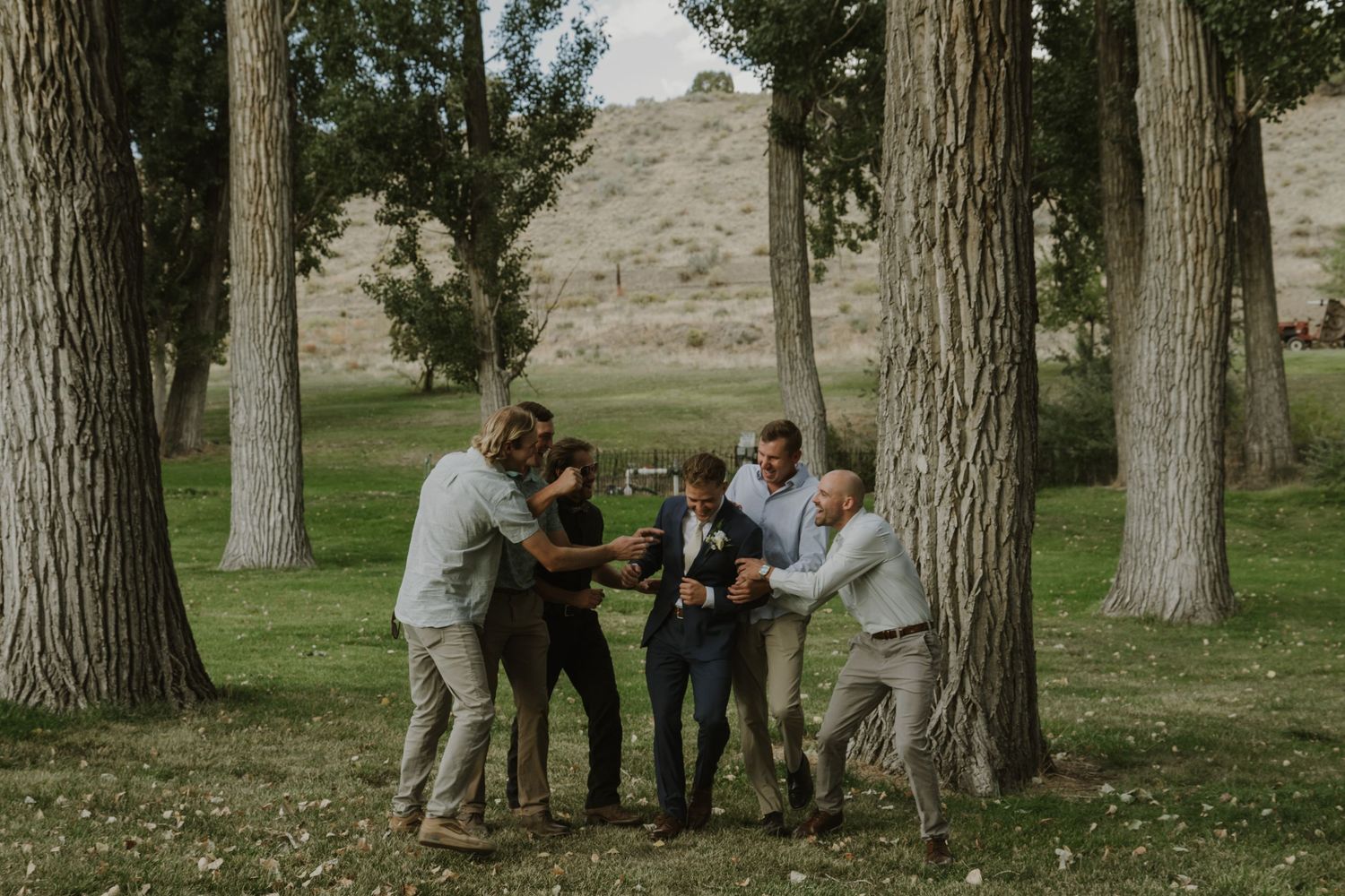 People gather and interact casually among a grove of mature trees on a sunny day.